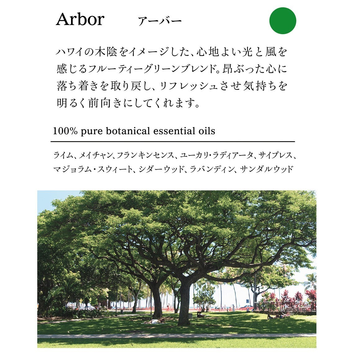 ブレンドエッセンシャルオイル10ml アラレフア ブレンドエッセンシャルオイル10ml アラレフア
