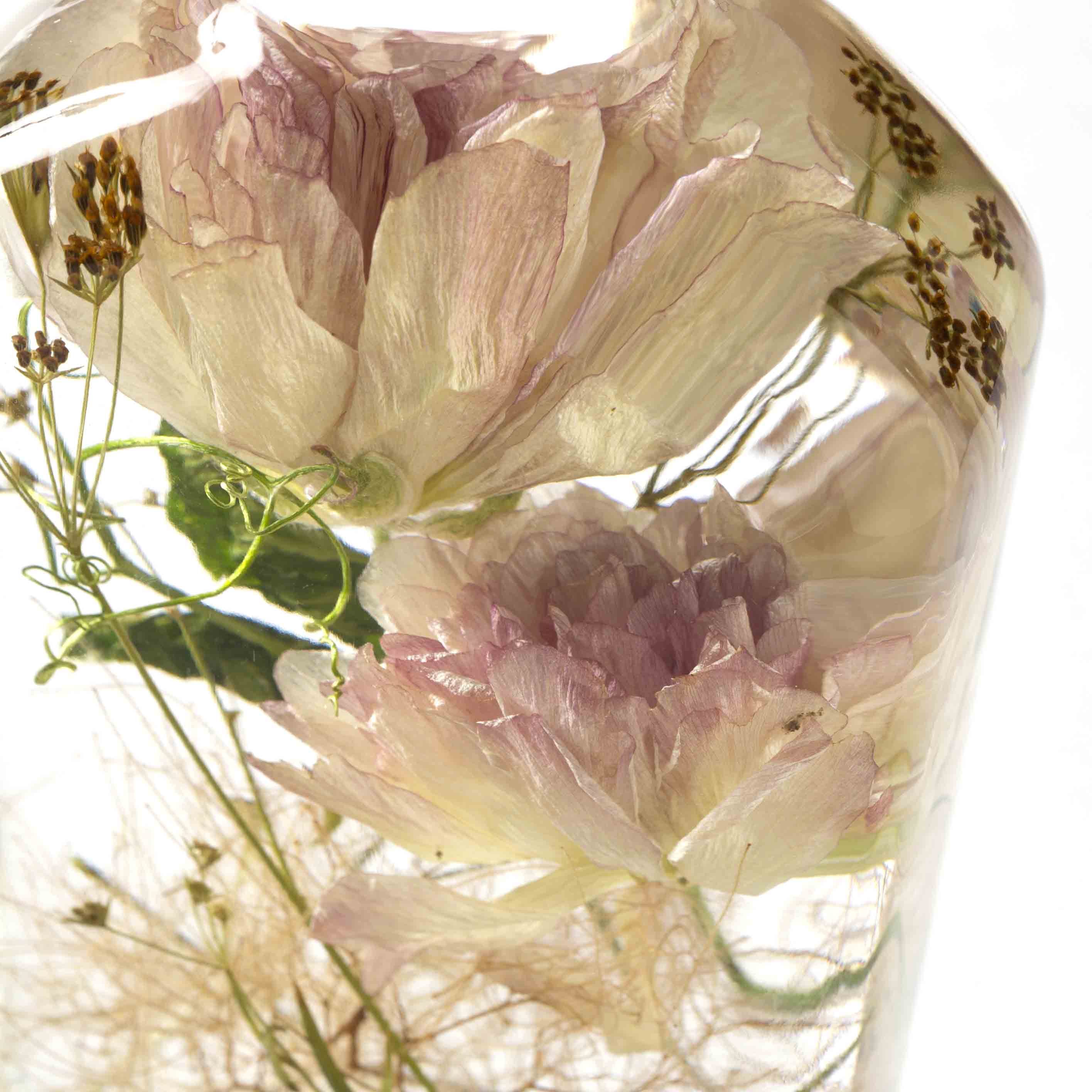 ラナンキュラス ドライ フラワー