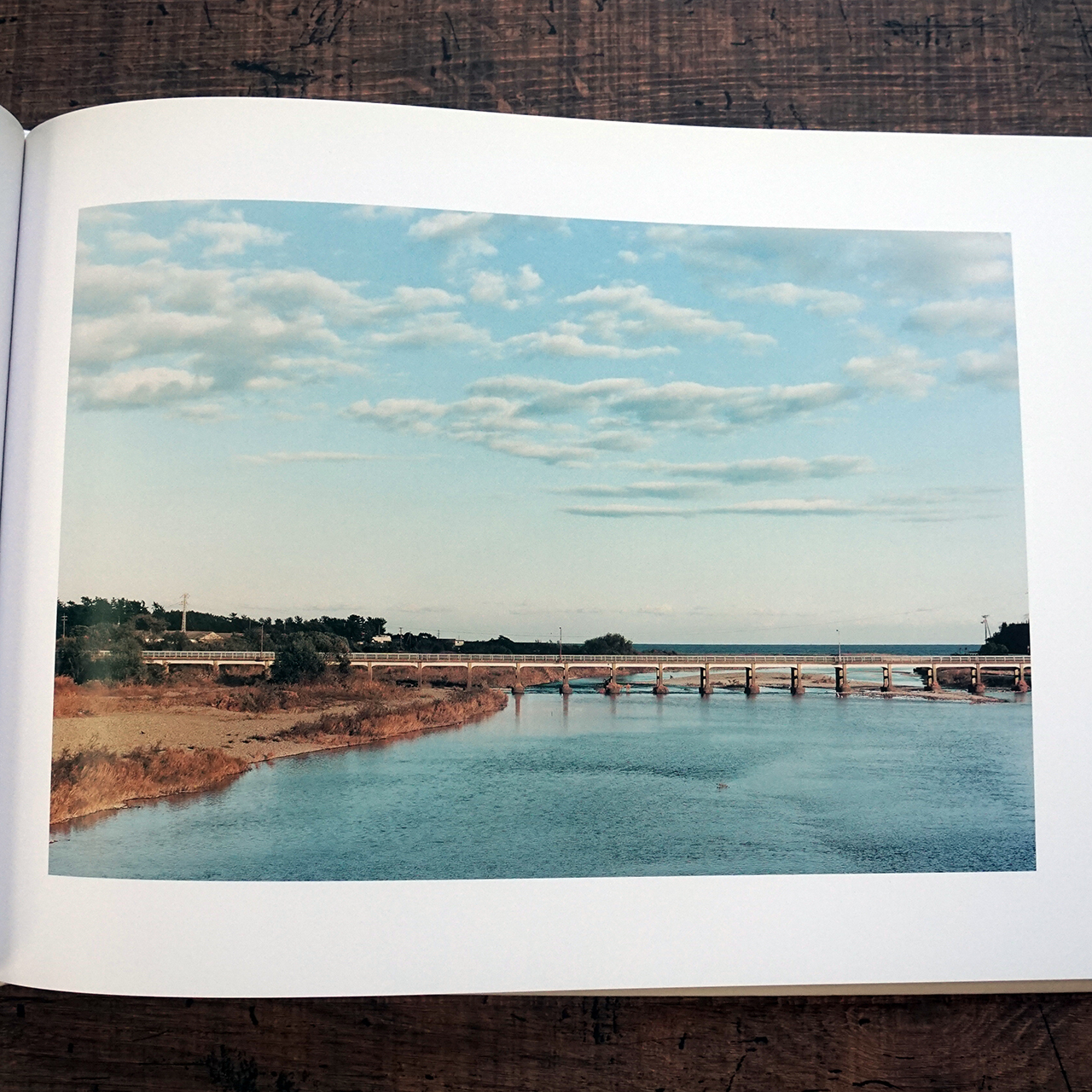 清野賀子 THE SIGN OF LIFE タイムカプセル