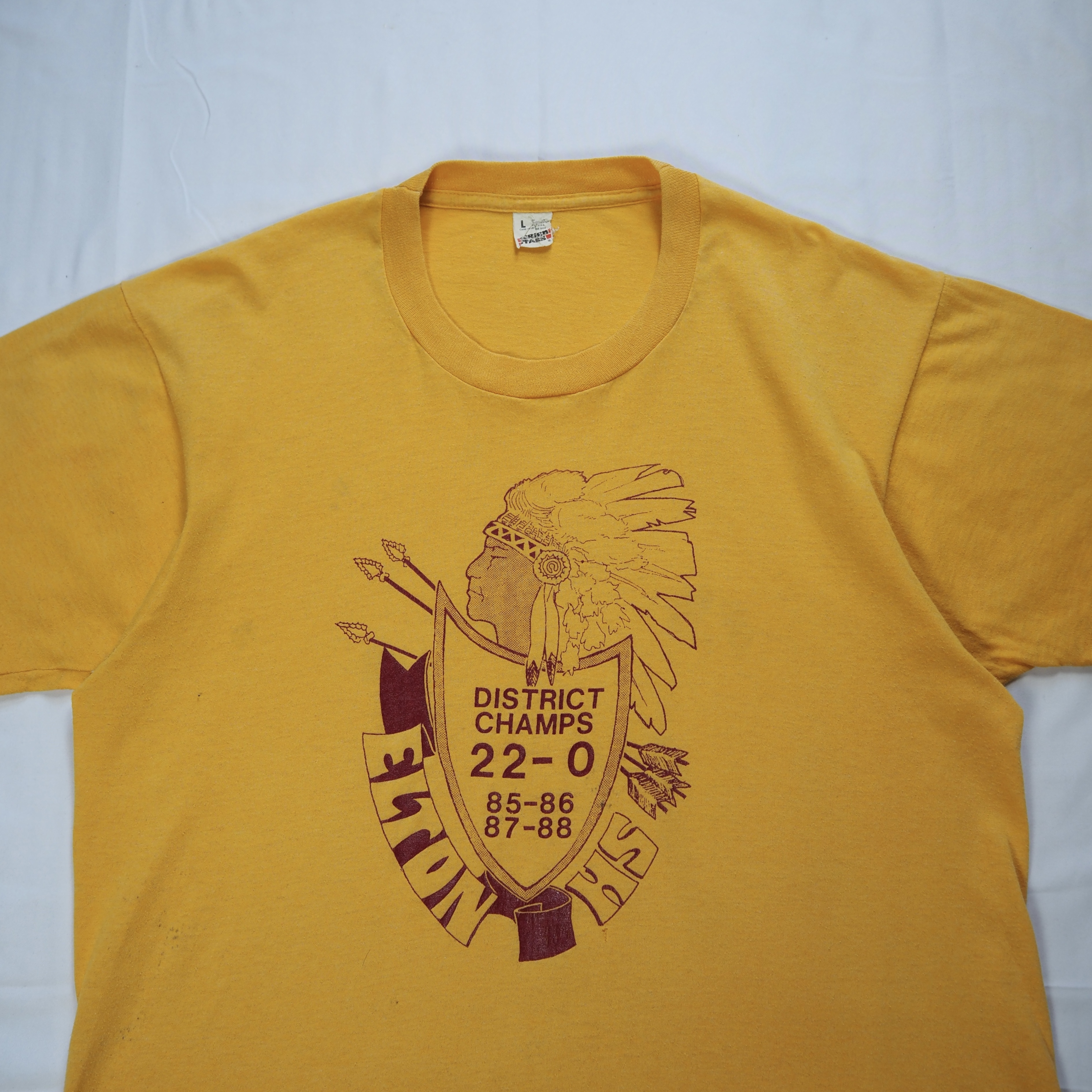 80’s スクリーンスターズ プリントTシャツ Lサイズ ネイティブアメリカン の画像 2