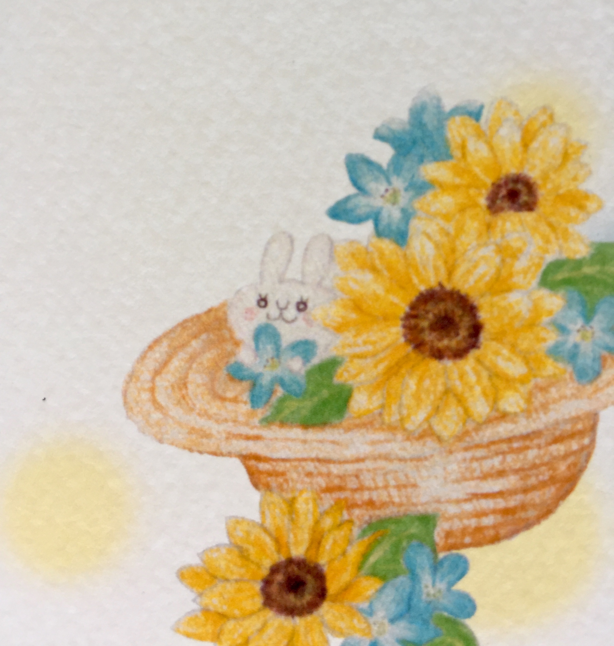 ポストカード めぐる二十四の季節 大暑 Pencilgarden