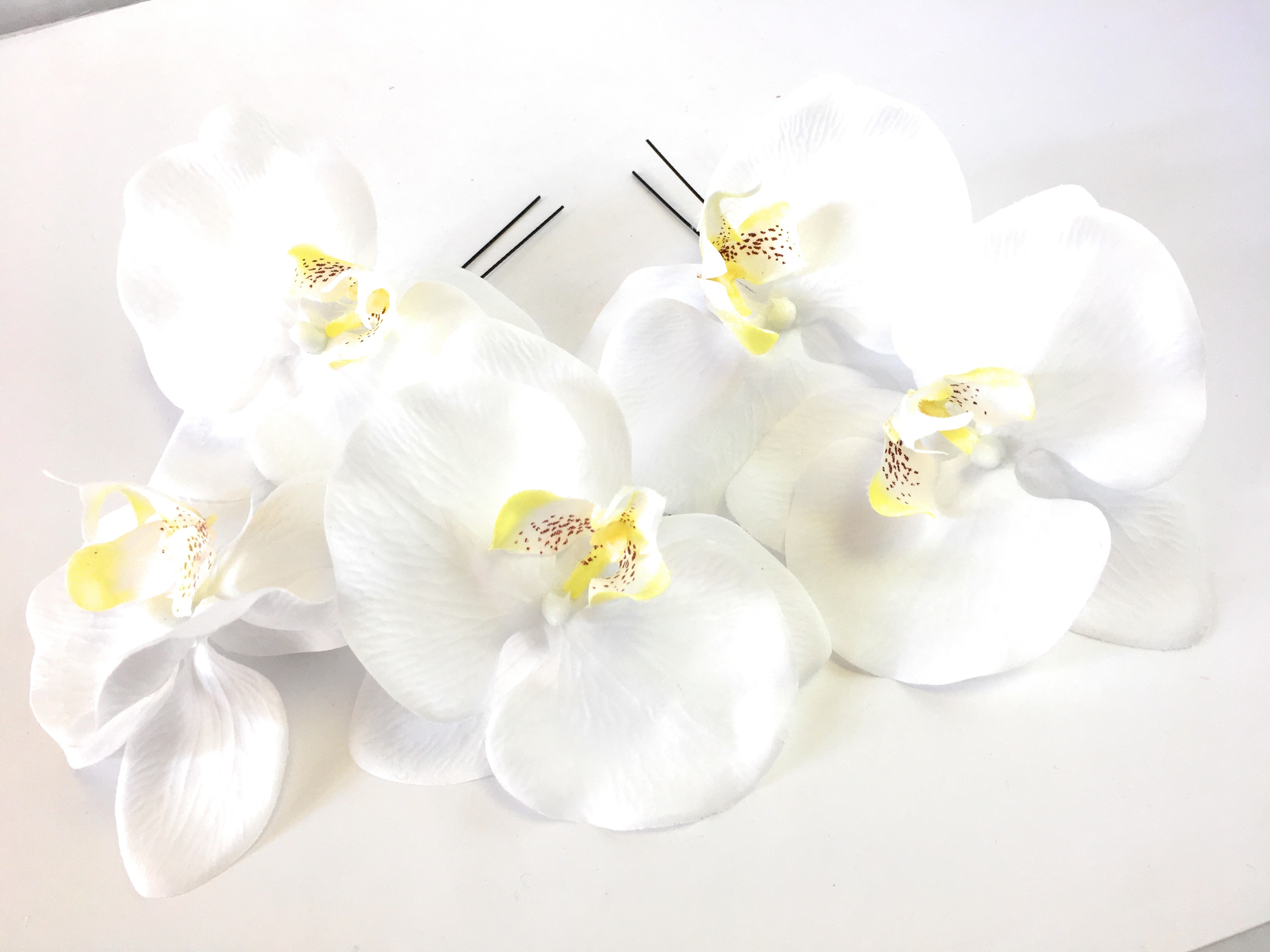 白胡蝶蘭5輪の髪飾り 成人式 結婚式 フラワーハーモニー