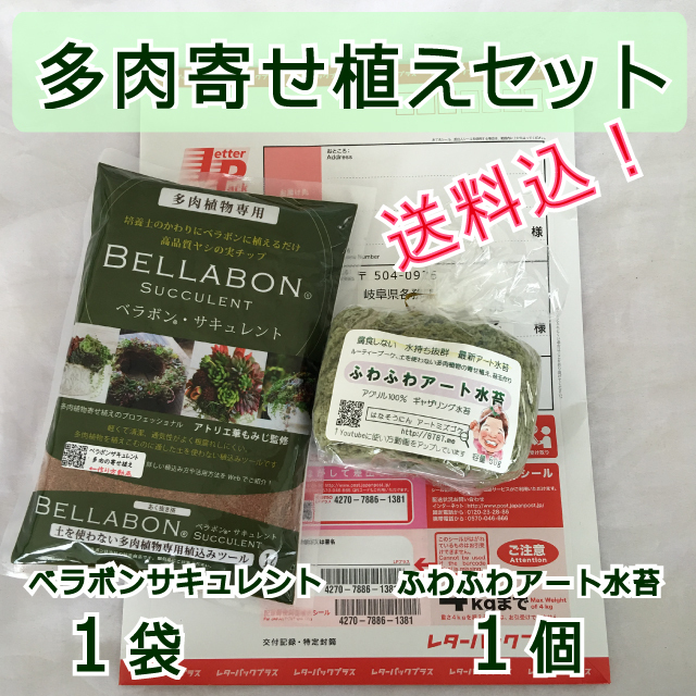 【送料込】ギャザリング水苔1個&ベラボンサキュレント1袋 セット - 画像1