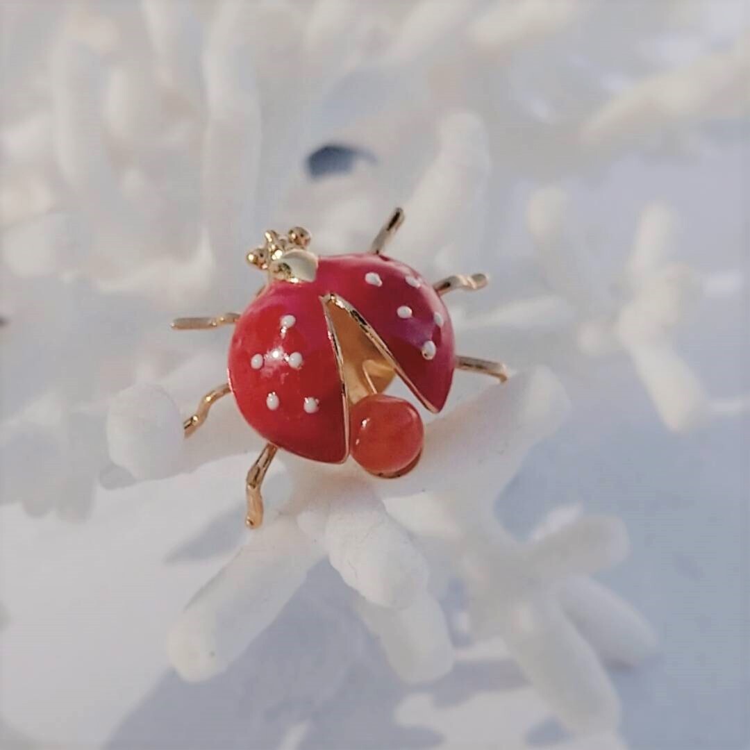 真っ赤な珊瑚のブローチ てんとう虫 Gocochi ゴコチ 珊瑚 海生まれ お守り代わりのアクセサリー