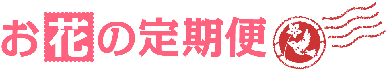 【定期便】月1回エクストラコース
