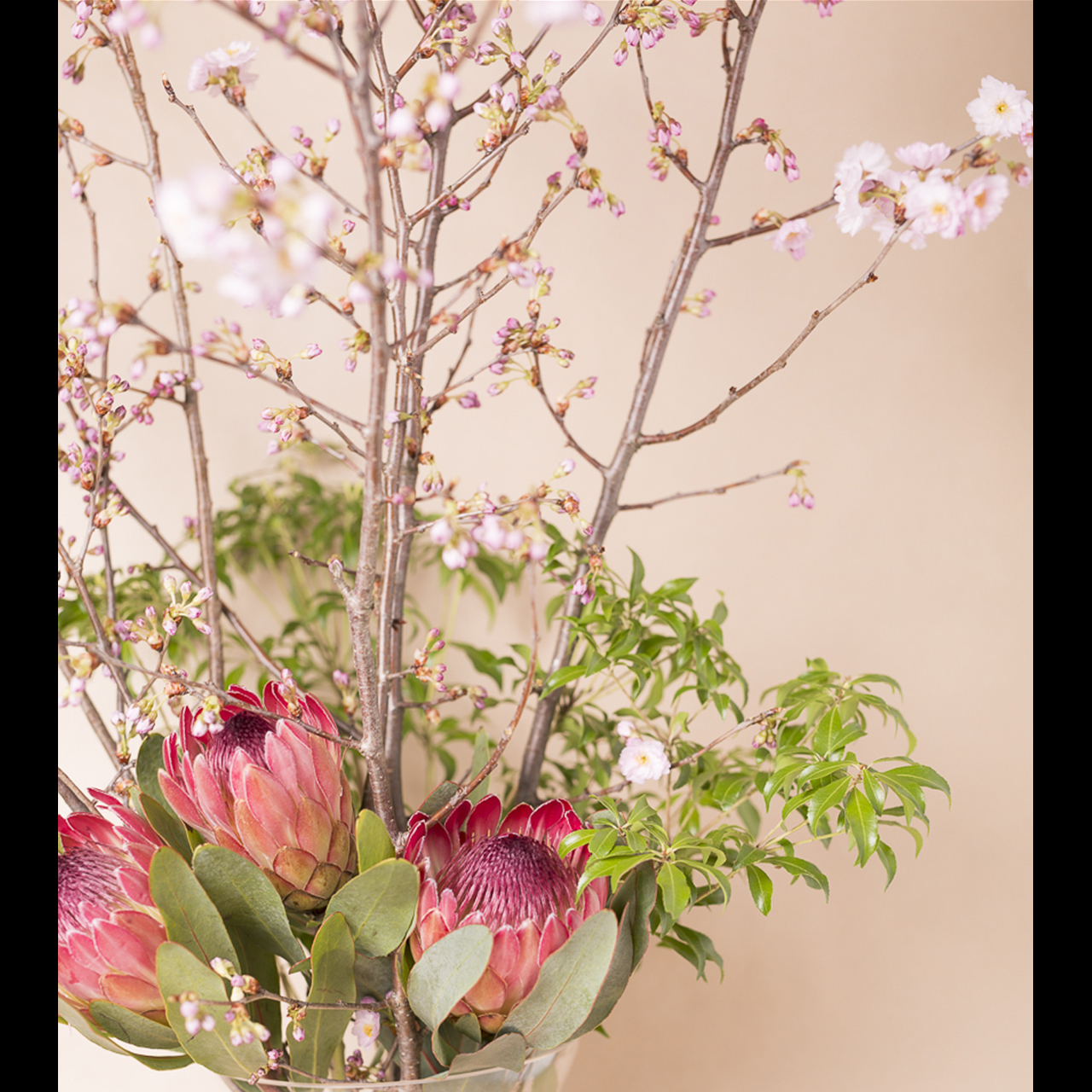 季節の枝物 6ヶ月定期便 花人 赤井勝 Official Store Gallery 季節の枝物 6ヶ月定期便 花人 赤井勝 Official Store Gallery