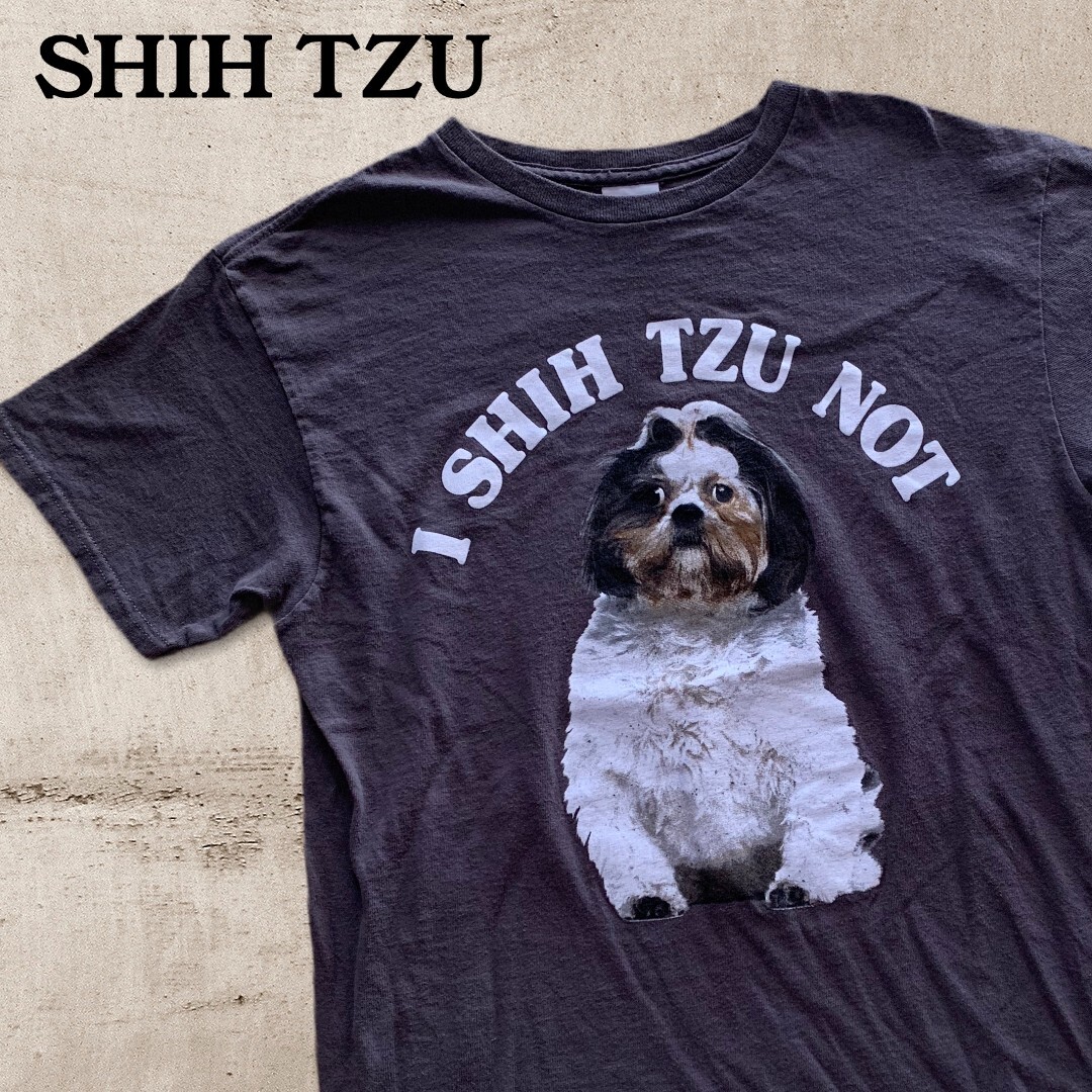 希少 シーズー 犬 ワンチャン Tシャツ 古着 O105 Dust Magnet Club ヴィンテージ古着 トレンド古着 アメカジ 90s コレクティブル