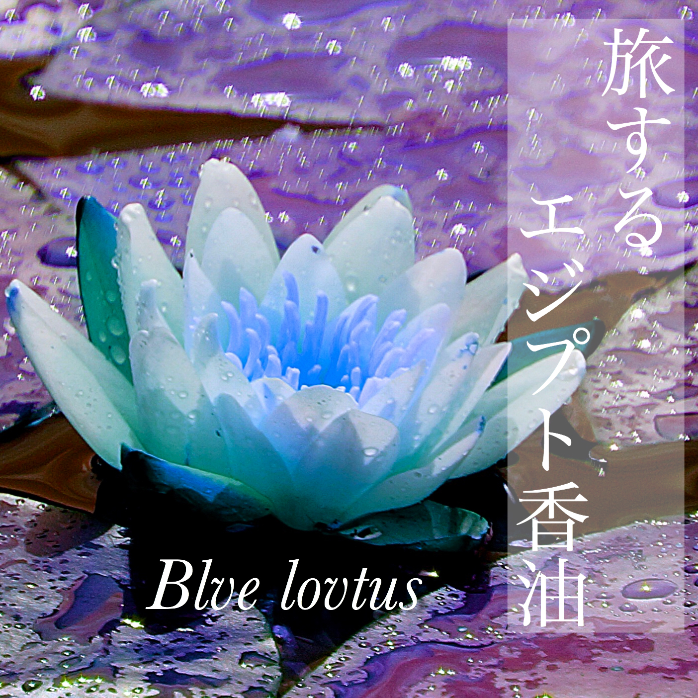 旅するエジプト香油 In Blue Lotus Ejiption Oil Shop