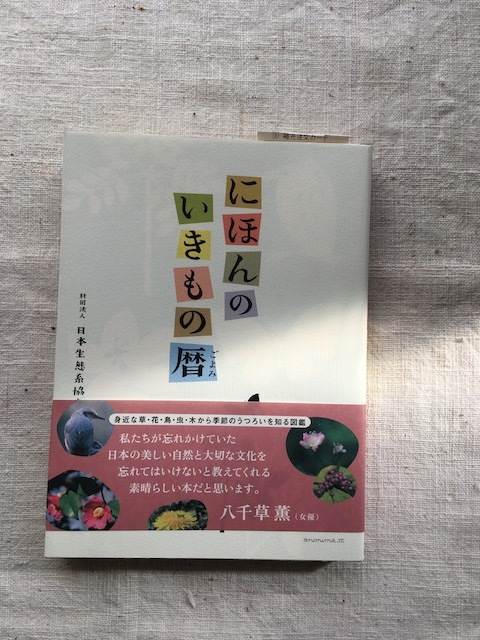 『にほんのいきもの暦』財団法人 日本生態系協会 著 - 画像2