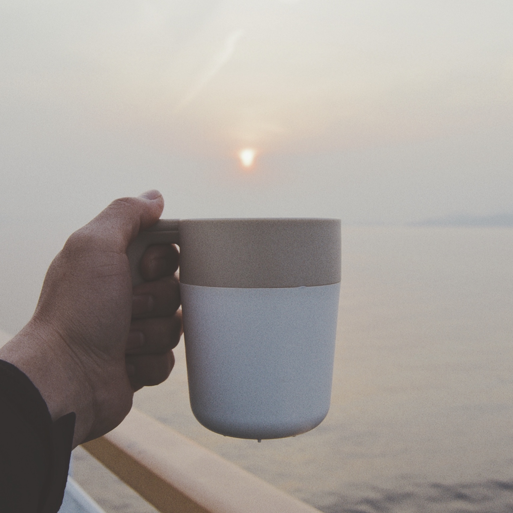 Kinto カフェプレス アイボリー Norrys Coffee ノーリーズ コーヒー