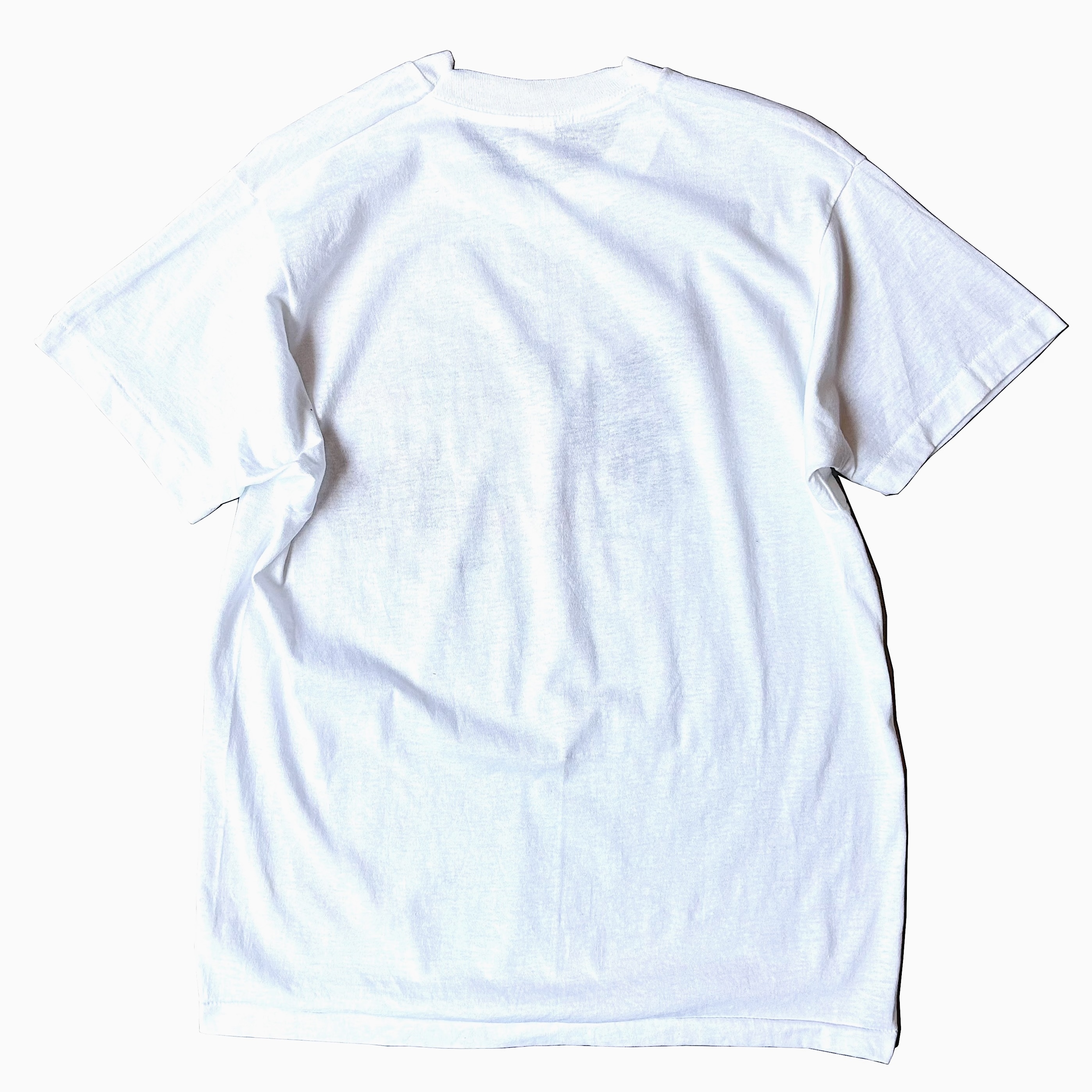 Vintage 80's【SCREEN STARS】"EAGLES...TURKEYS" T-shirt の画像 2