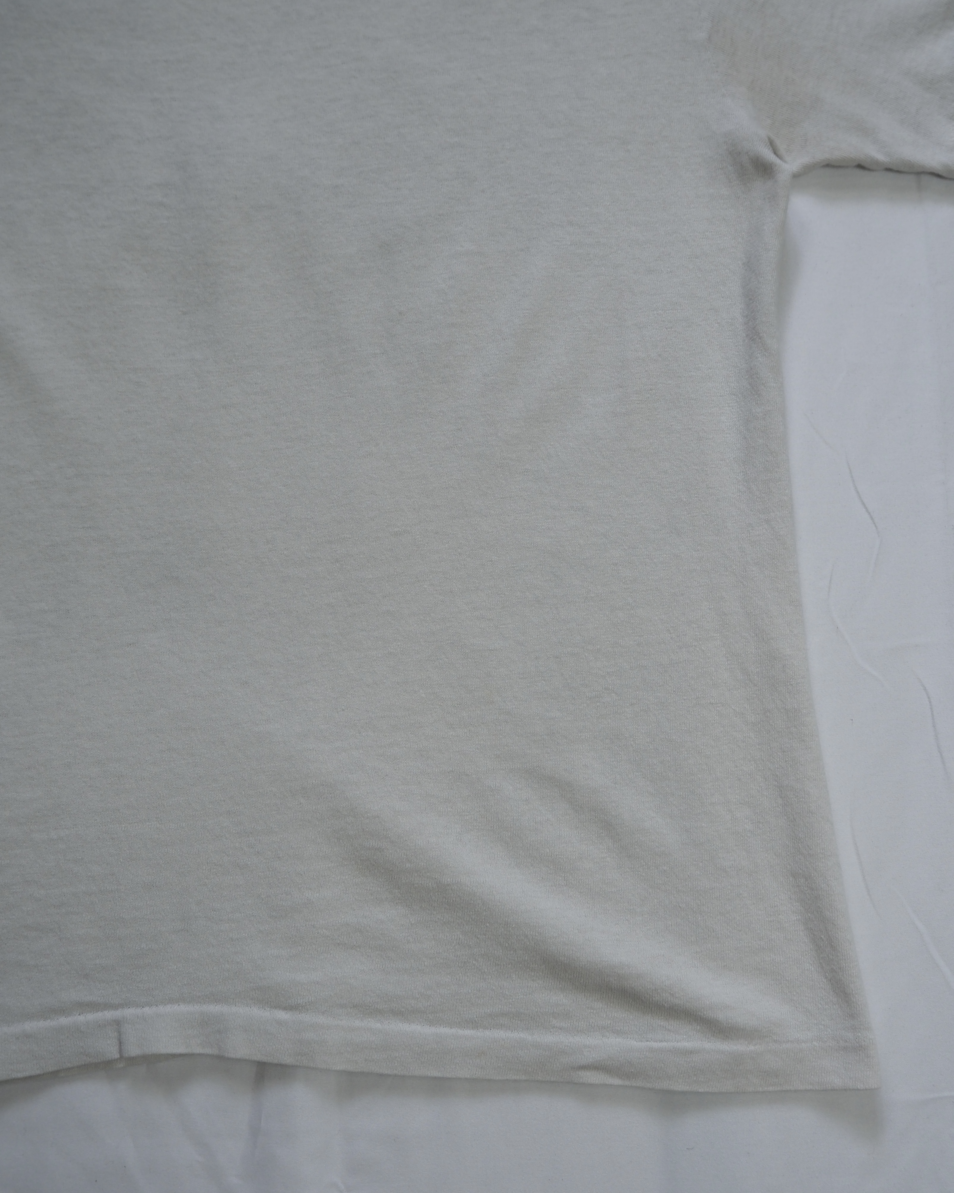 80’s Hanes プリントTシャツ の画像 16