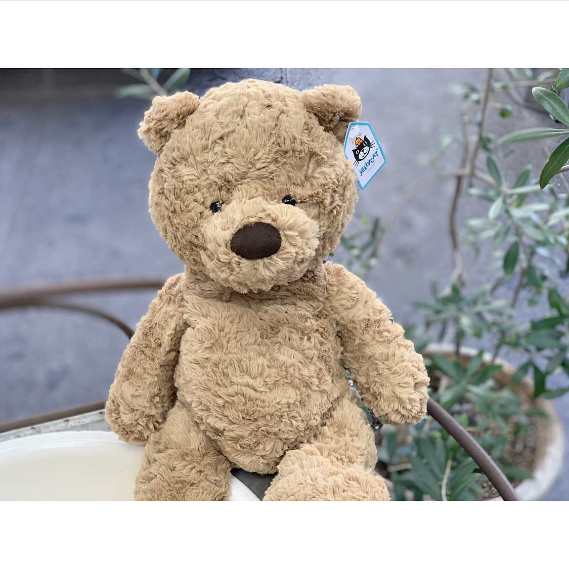 Jelly Cat ジェリーキャット Bumbly Bear Medium ぬいぐるみmサイズ 暮らし道具と服のお店 Zoo Jelly Cat ジェリーキャット Bumbly Bear Medium ぬいぐるみmサイズ 暮らし道具と服のお店 Zoo