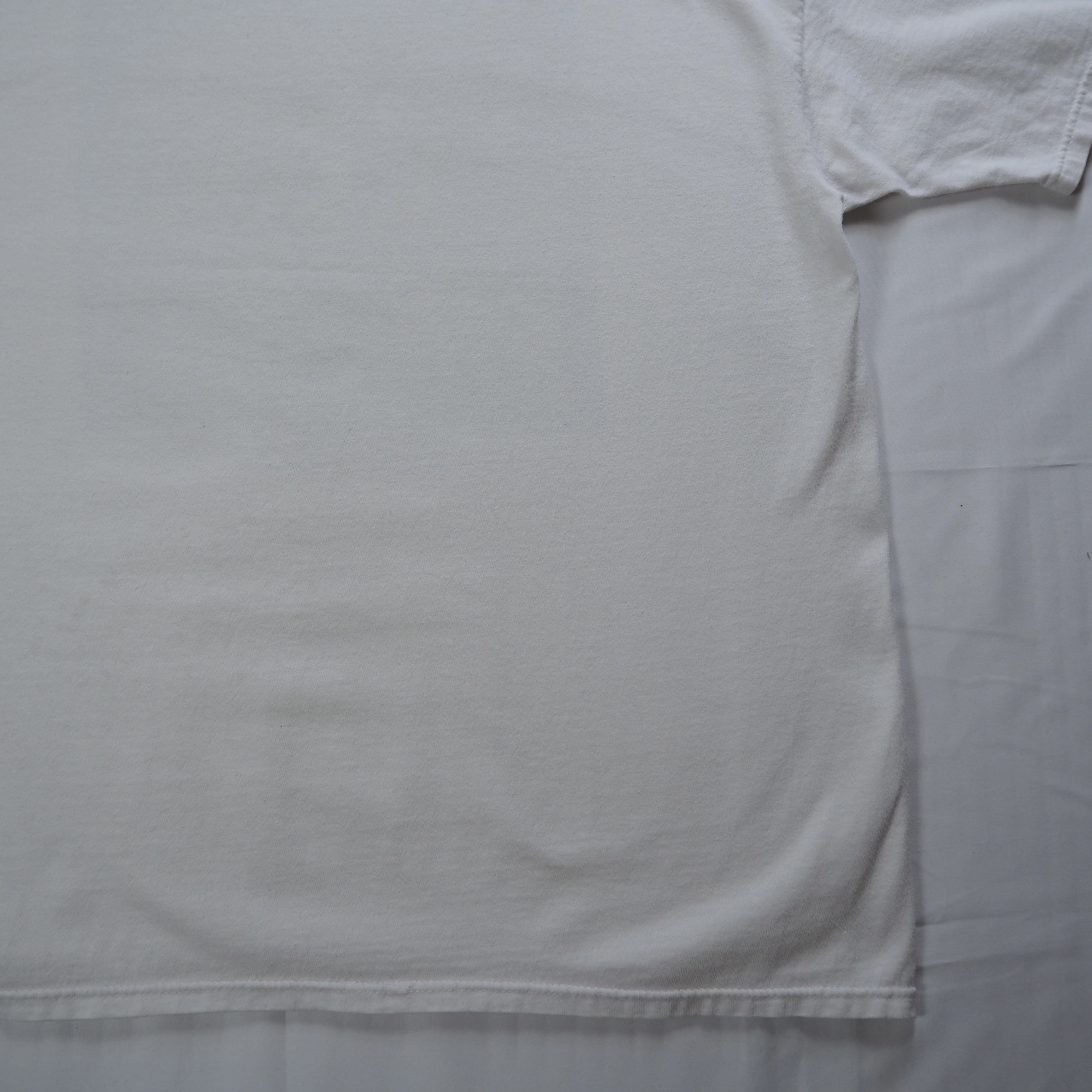 90’s Hanes サーベルタイガーTシャツ XL の画像 18