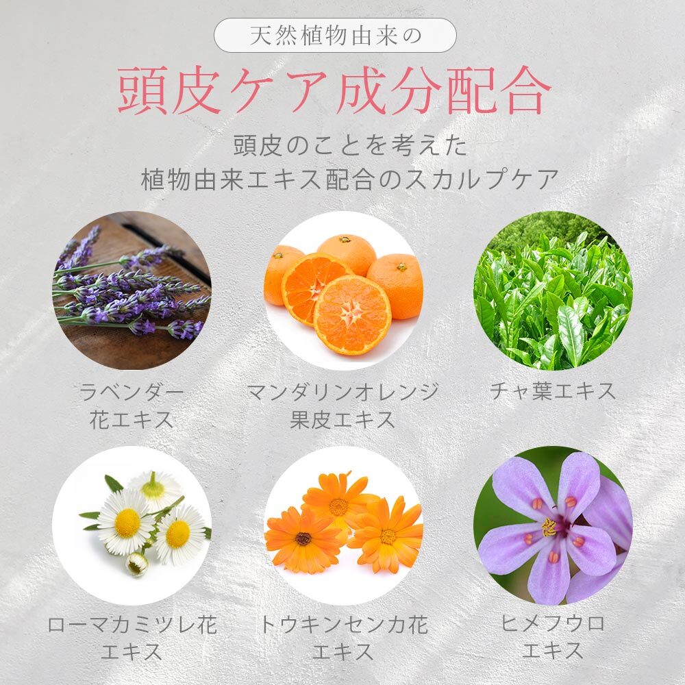 Allna Organic モイスチャー シャンプー トリートメント セット 500ml 500m 無添加 天然由来洗浄 オルナ オーガニック ノンシリコンシャンプー ボタニカルトリートメント Allna Organic Allna Organic モイスチャー シャンプー トリートメント セット 500ml 500m 無添加 天然由来洗浄 オルナ オーガニック ノンシリコンシャンプー ボタニカルトリートメント Allna Organic