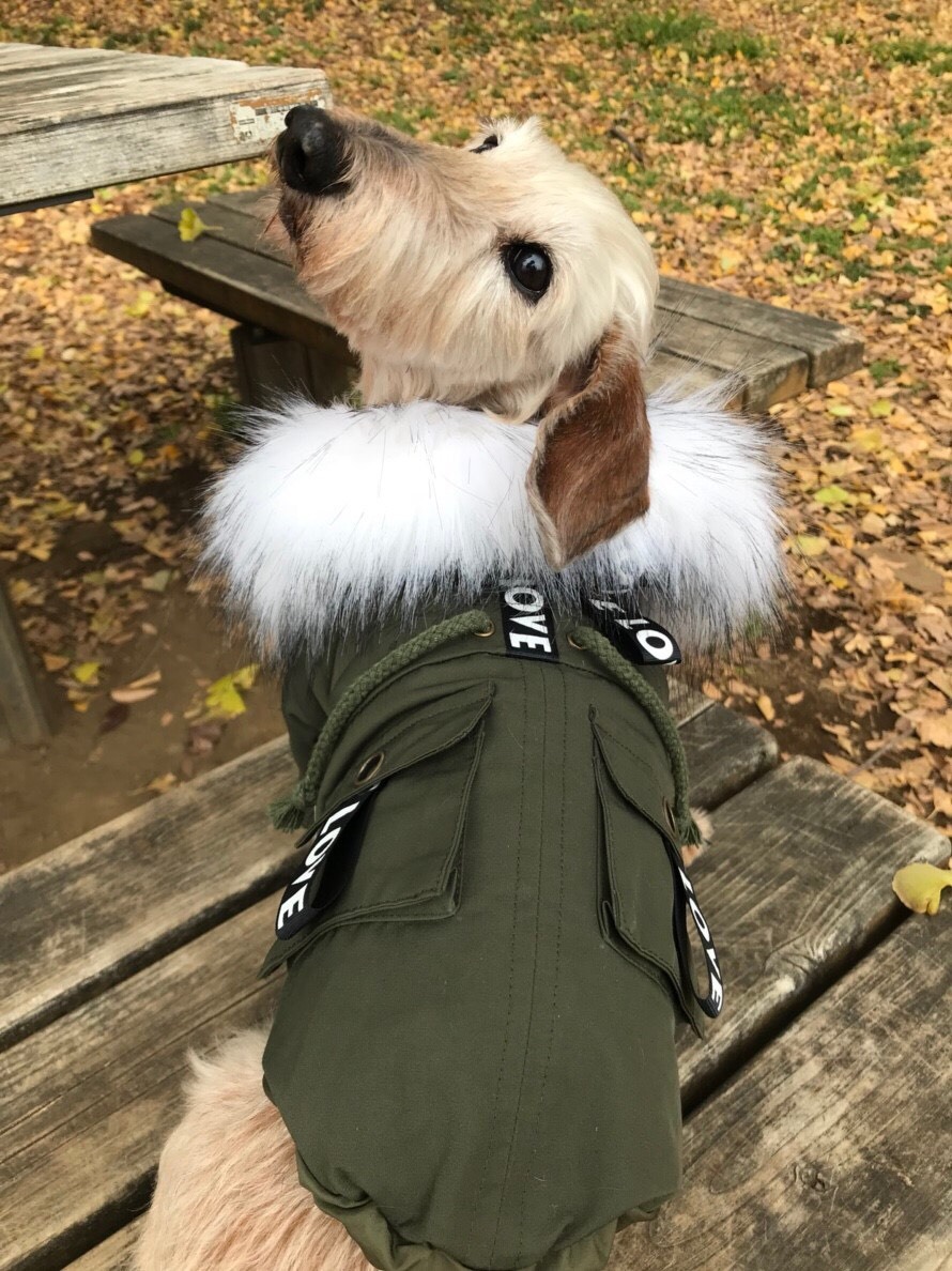 犬服 ドッグウェア Fancy House ふわふわファー付き モッズ風コート Npo法人ペット里親会noel S