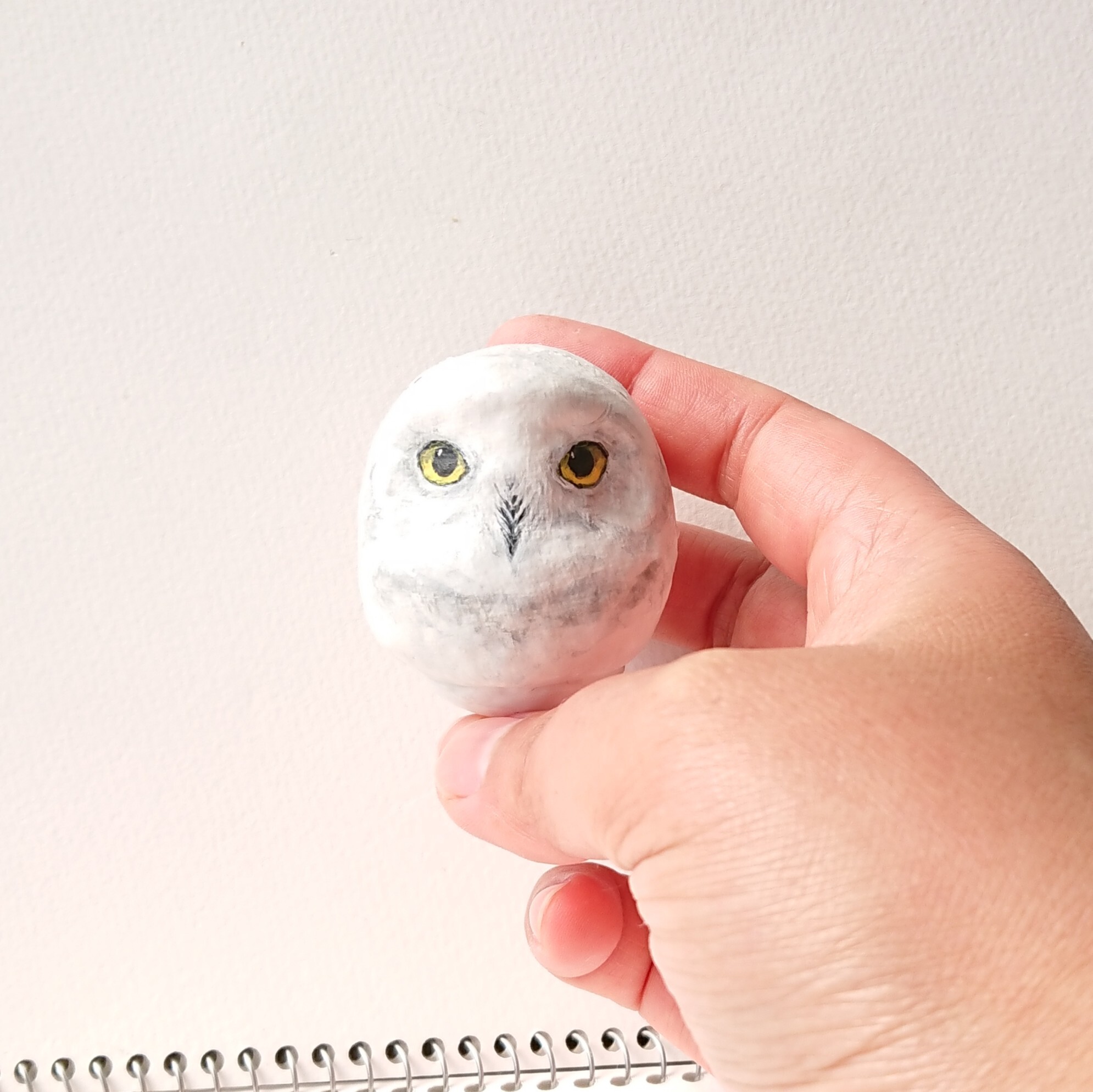 フクロウだるま シロフクロウ たぬき倶楽部 フクロウだるま シロフクロウ たぬき倶楽部