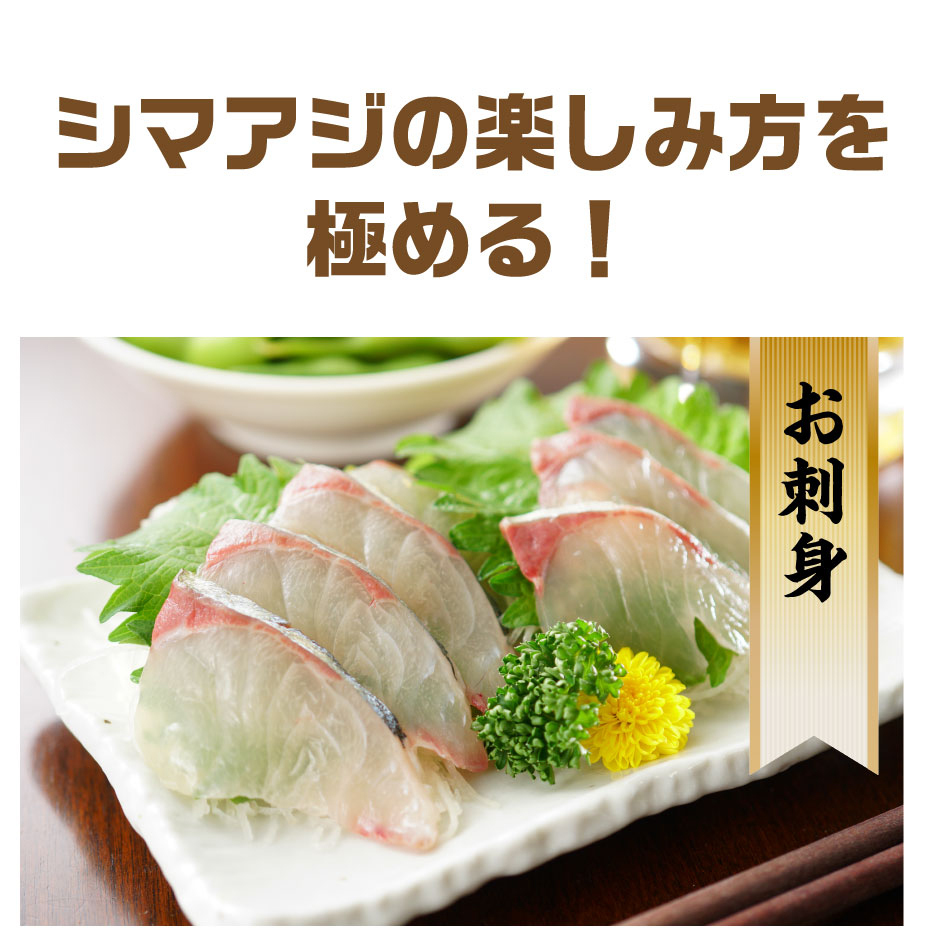 送料無料 養殖活〆シマアジ 1 0 1 5kg 刺身用 公式hp 博多魚匠