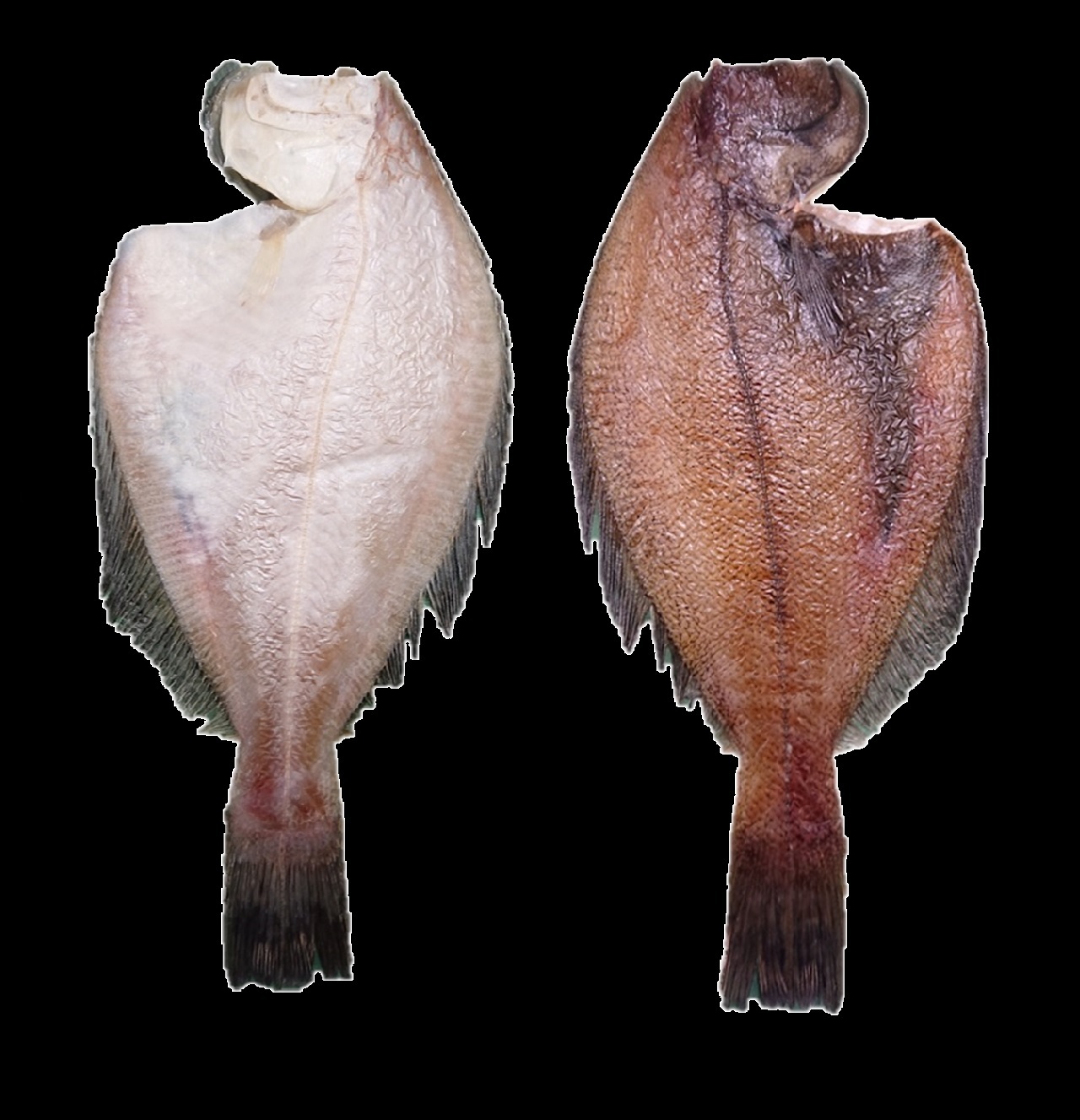 宗八 魚新 低温熟成仕込 宗八 魚新 低温熟成仕込