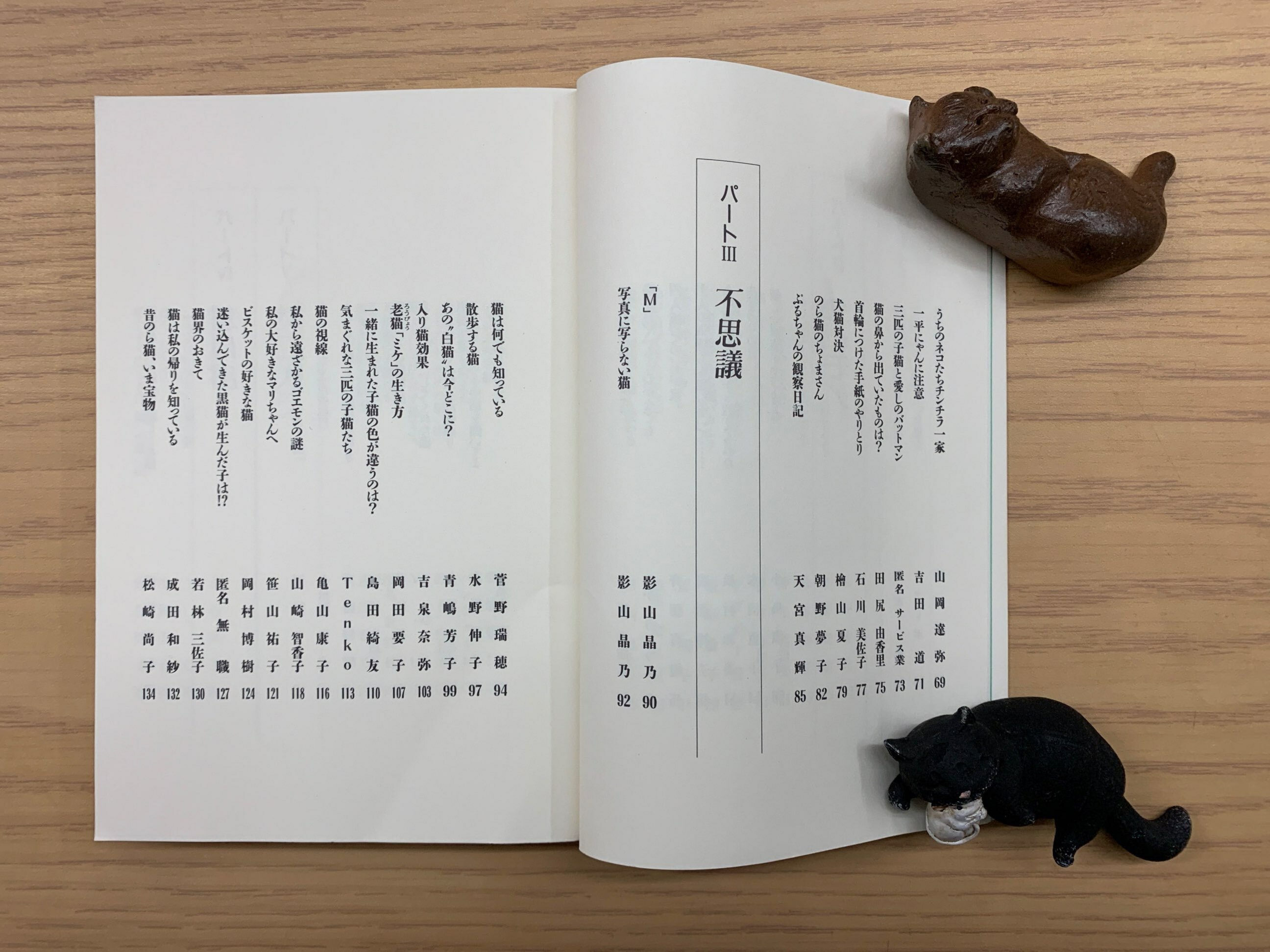 忘れえぬ愛しの猫たちの物語 単行本 猫本サロン 京都三条サクラヤ 忘れえぬ愛しの猫たちの物語 単行本 猫本サロン 京都三条サクラヤ