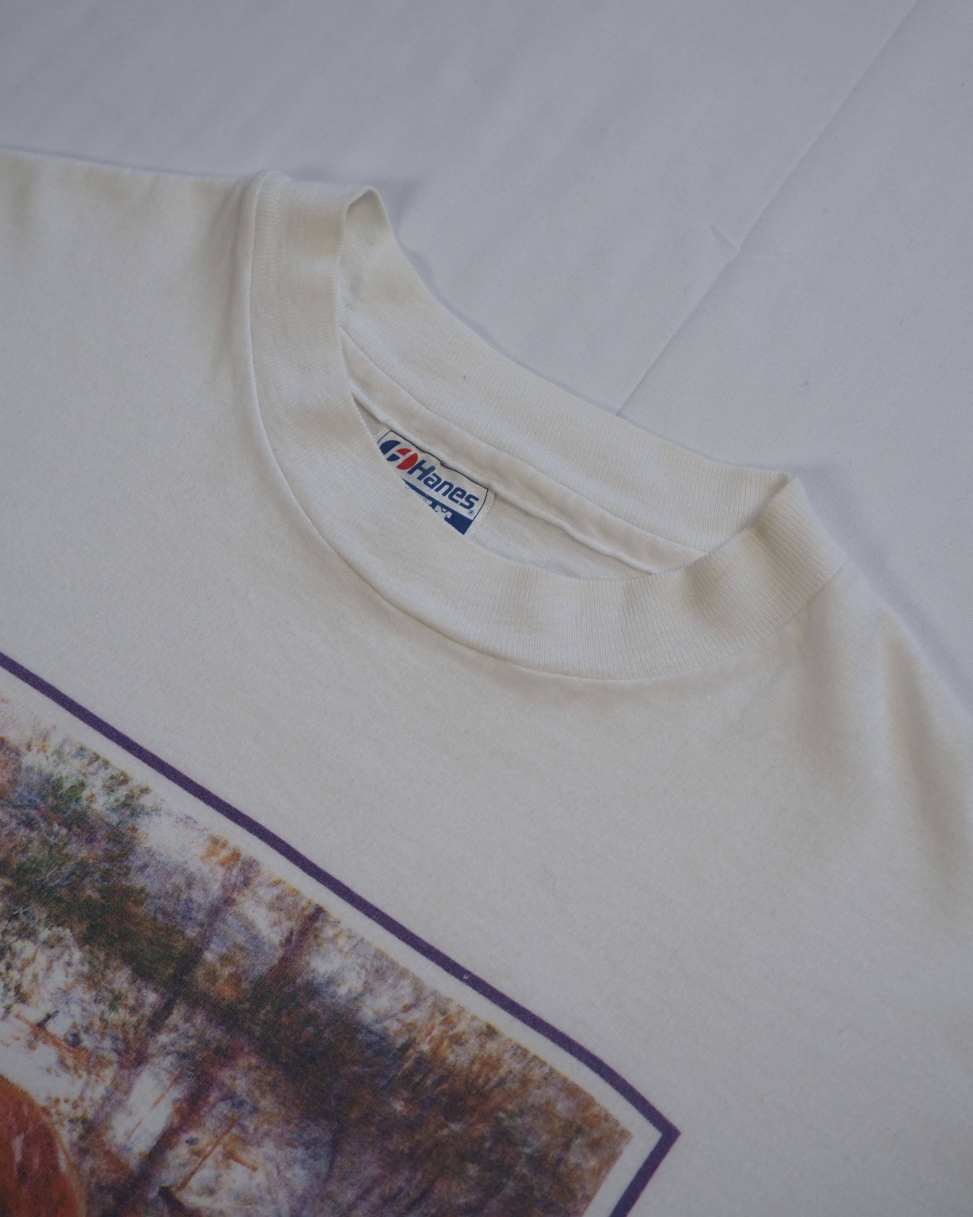 90’s Hanes アートTシャツ ルノワール 「2人の姉妹」 の画像 8