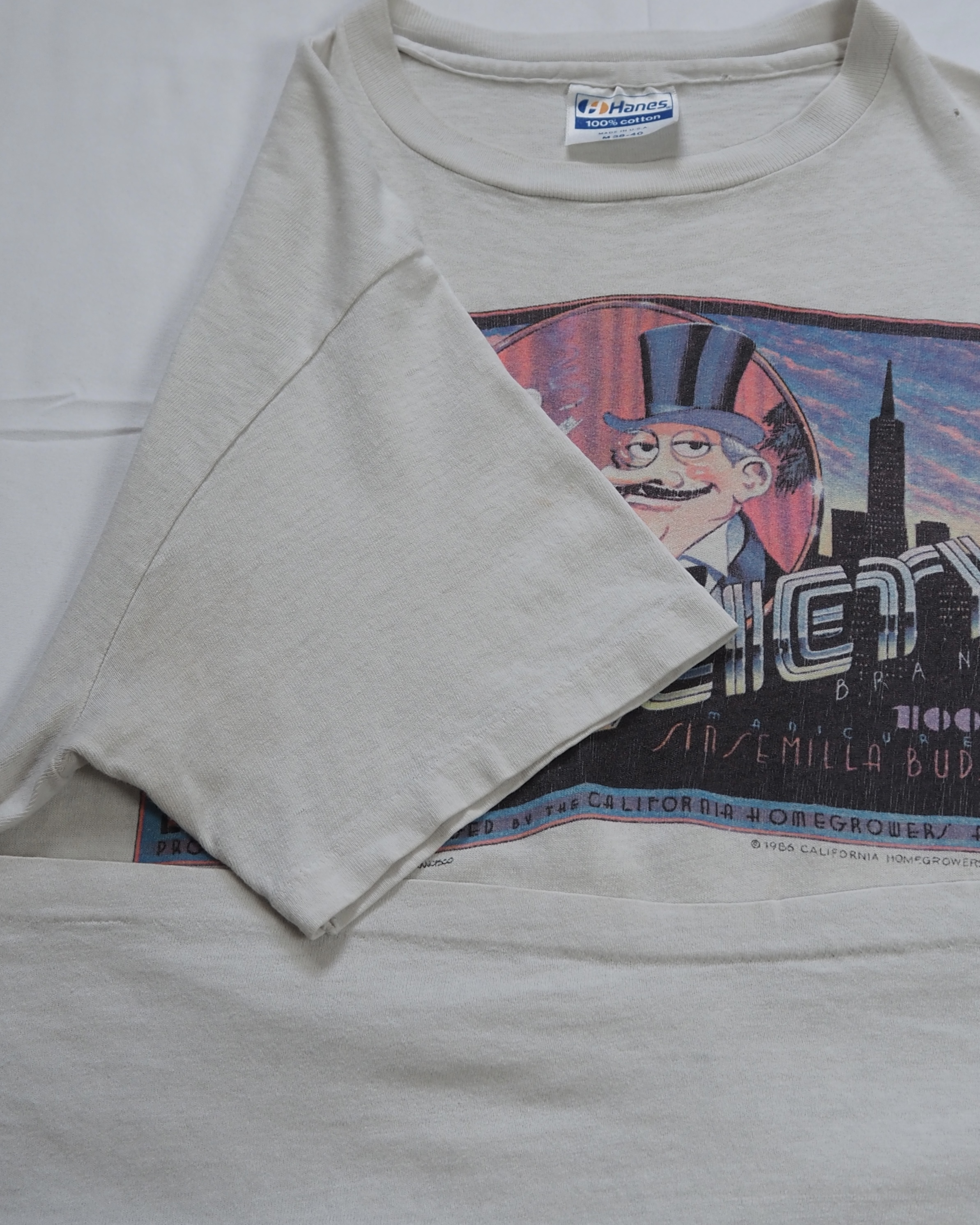 80’s Hanes プリントTシャツ の画像 11