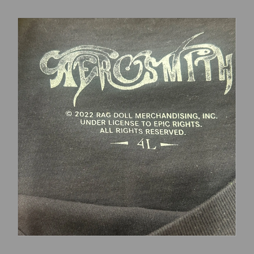 Aerosmith バンドTシャツ エアロスミス Boston Pride 4L の画像 3