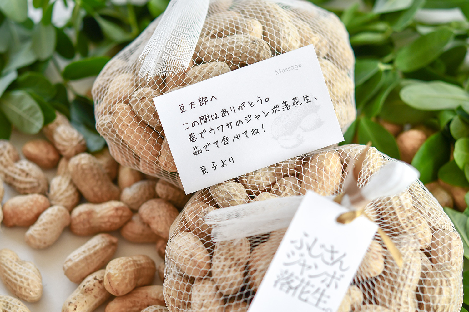 ふじさんジャンボ落花生 3kg 500g 6袋 無農薬有機栽培 やさし菜農園 Tanizaki