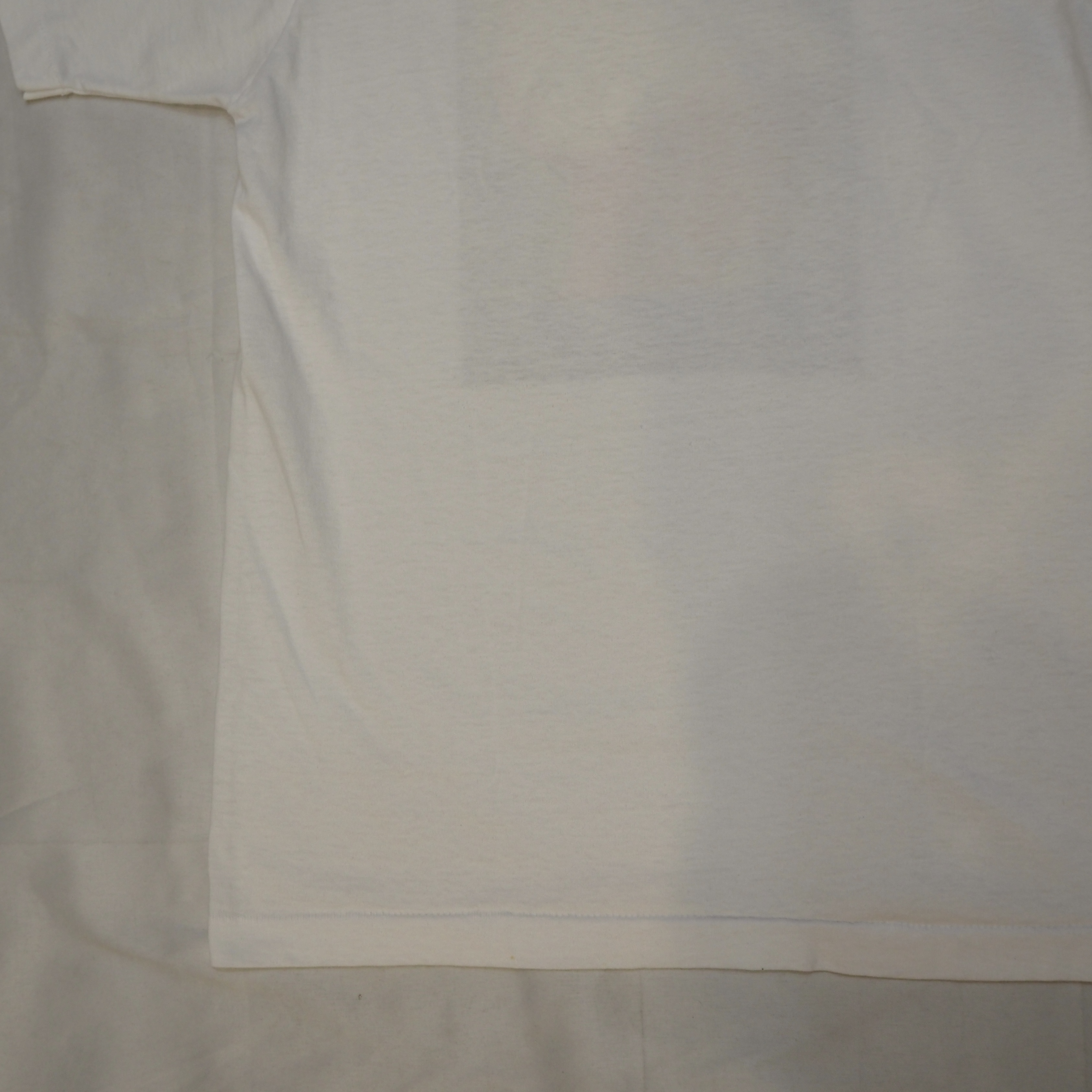 90’s Screen Stars ブレインTシャツ の画像 13