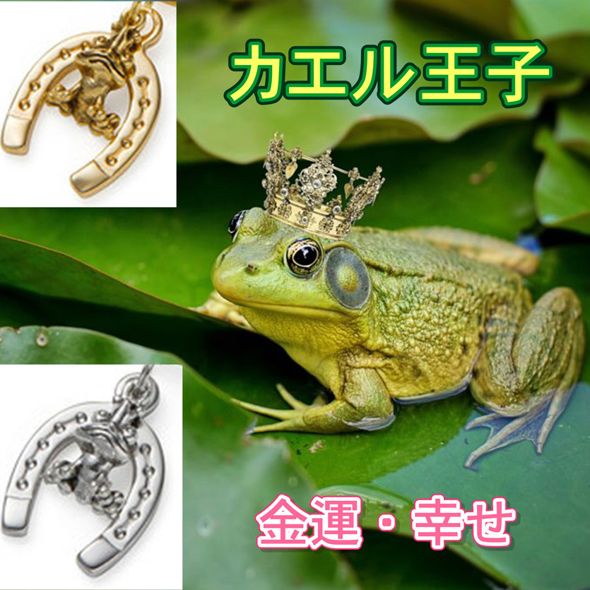 幸運の馬蹄アクセサリー 蛙 かえる カエル １ かえるの王子 お金と幸せの守り神 成功を呼ぶ 伊太利亜市場プントウーノ