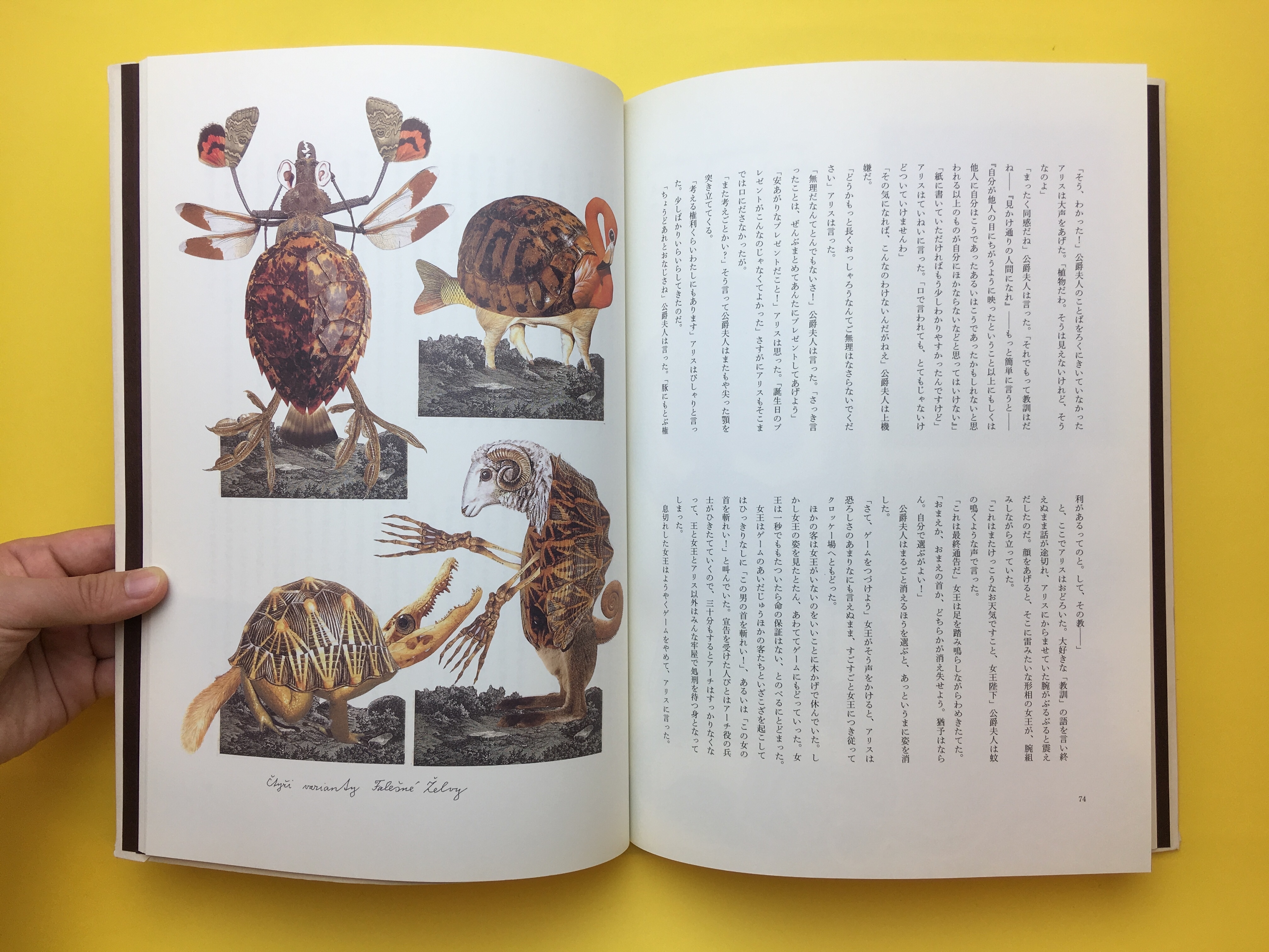 不思議の国のアリス ヤン シュヴァンクマイエル B243 コ本や Picture Book Shop