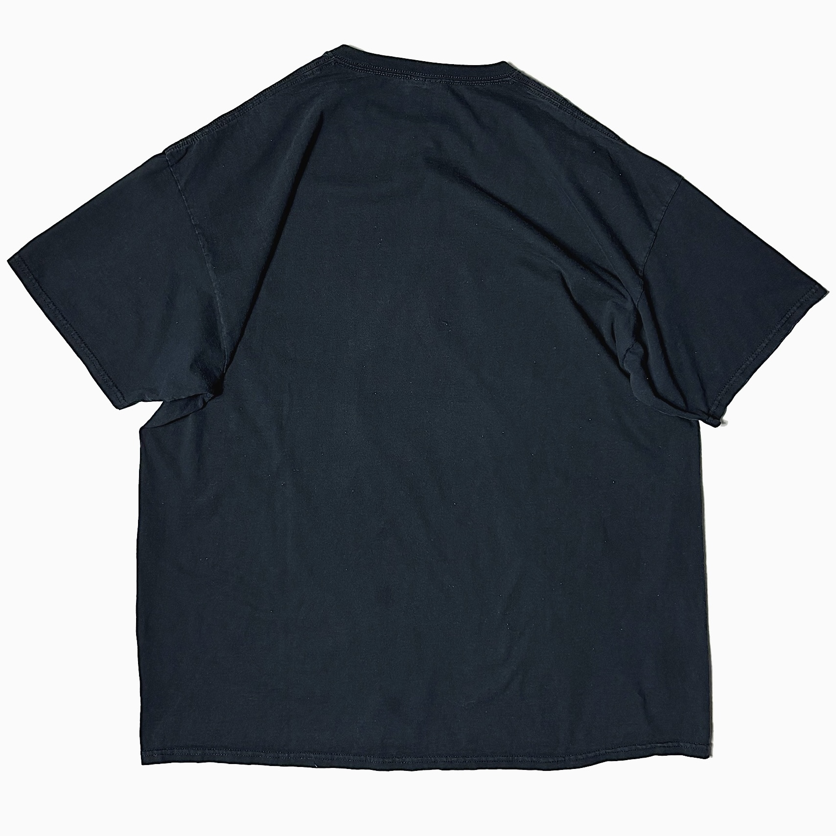 Y2K【FRUIT OF THE LOOM】"America" T-shirt の画像 2