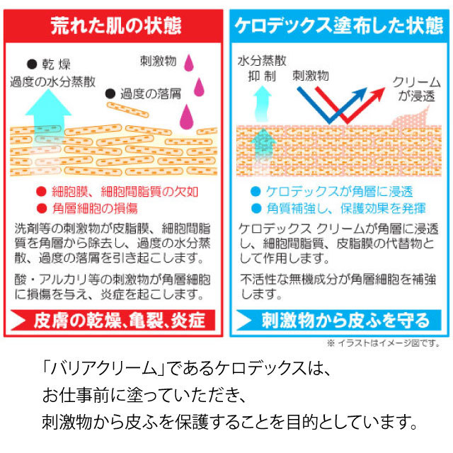 手荒れでお困りの方に!【ケロデックス皮膚保護クリーム】100gチューブタイプ業務用 皮膚保護クリームKERODEX - 画像5