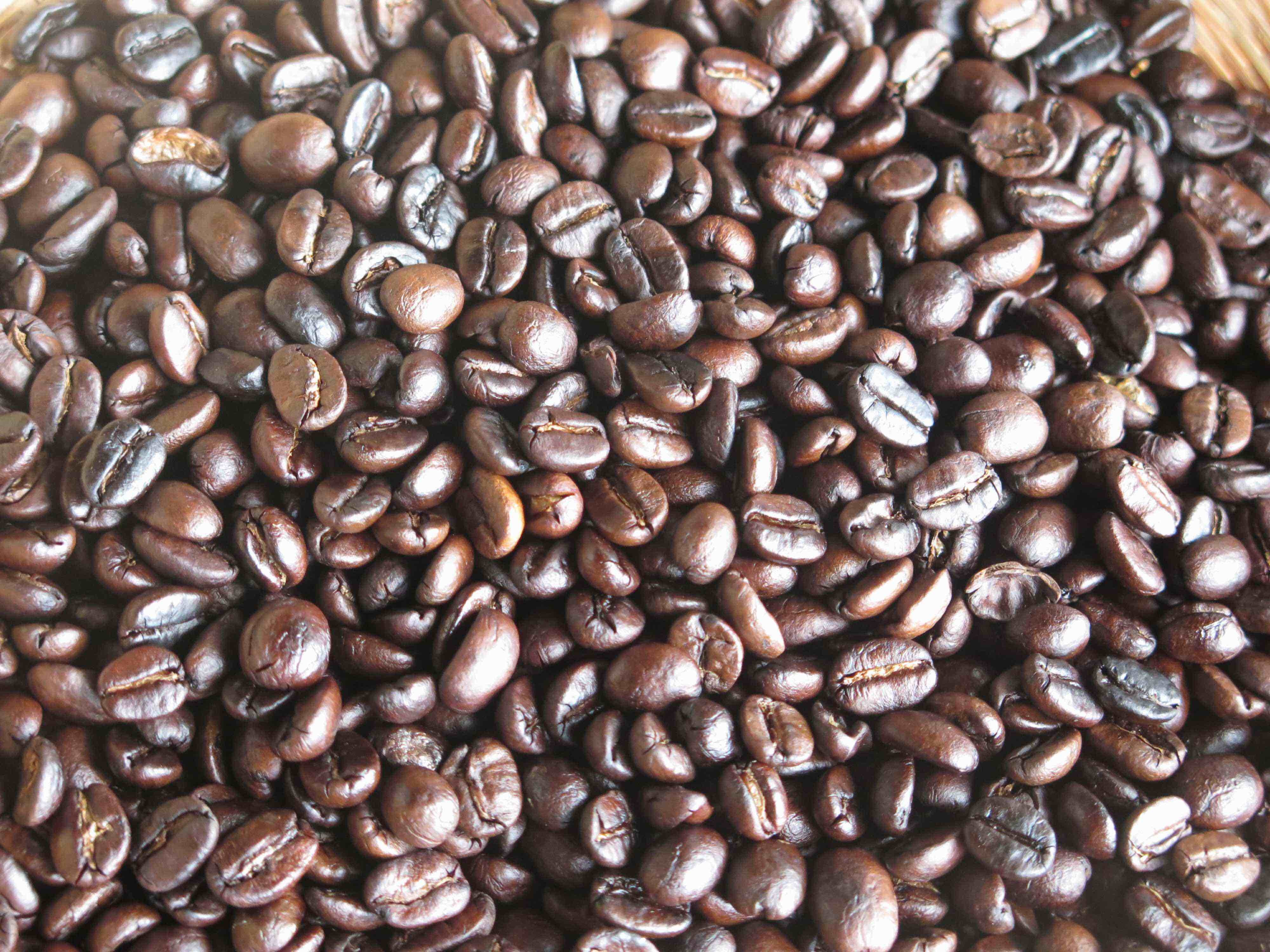 土鍋焙煎 ニドムブレンド コーヒー豆 100g - 画像4
