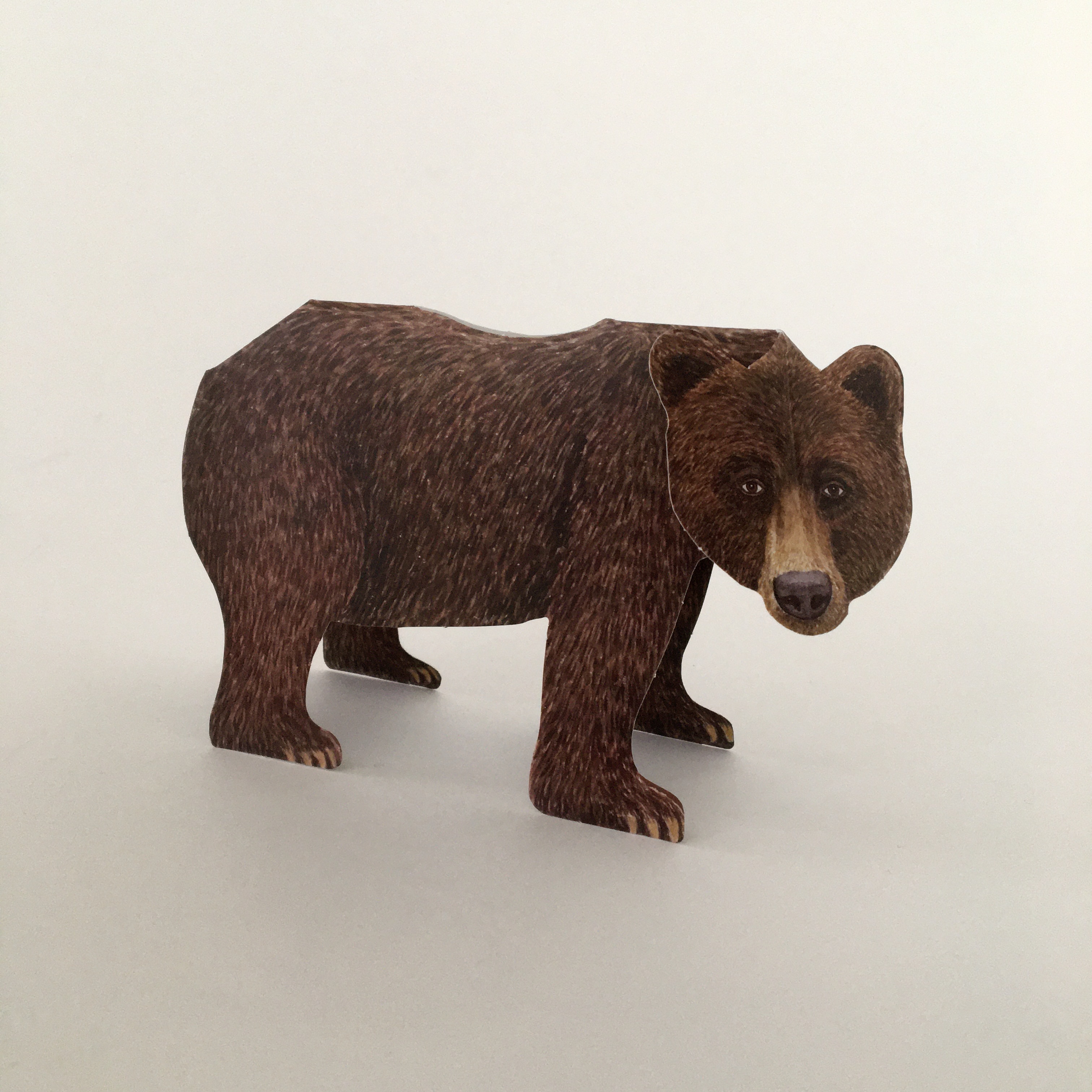 動物の立体カード クマ Animal Folding Card Bear Sensitivity And Boldness 動物の立体カード クマ Animal Folding Card Bear Sensitivity And Boldness