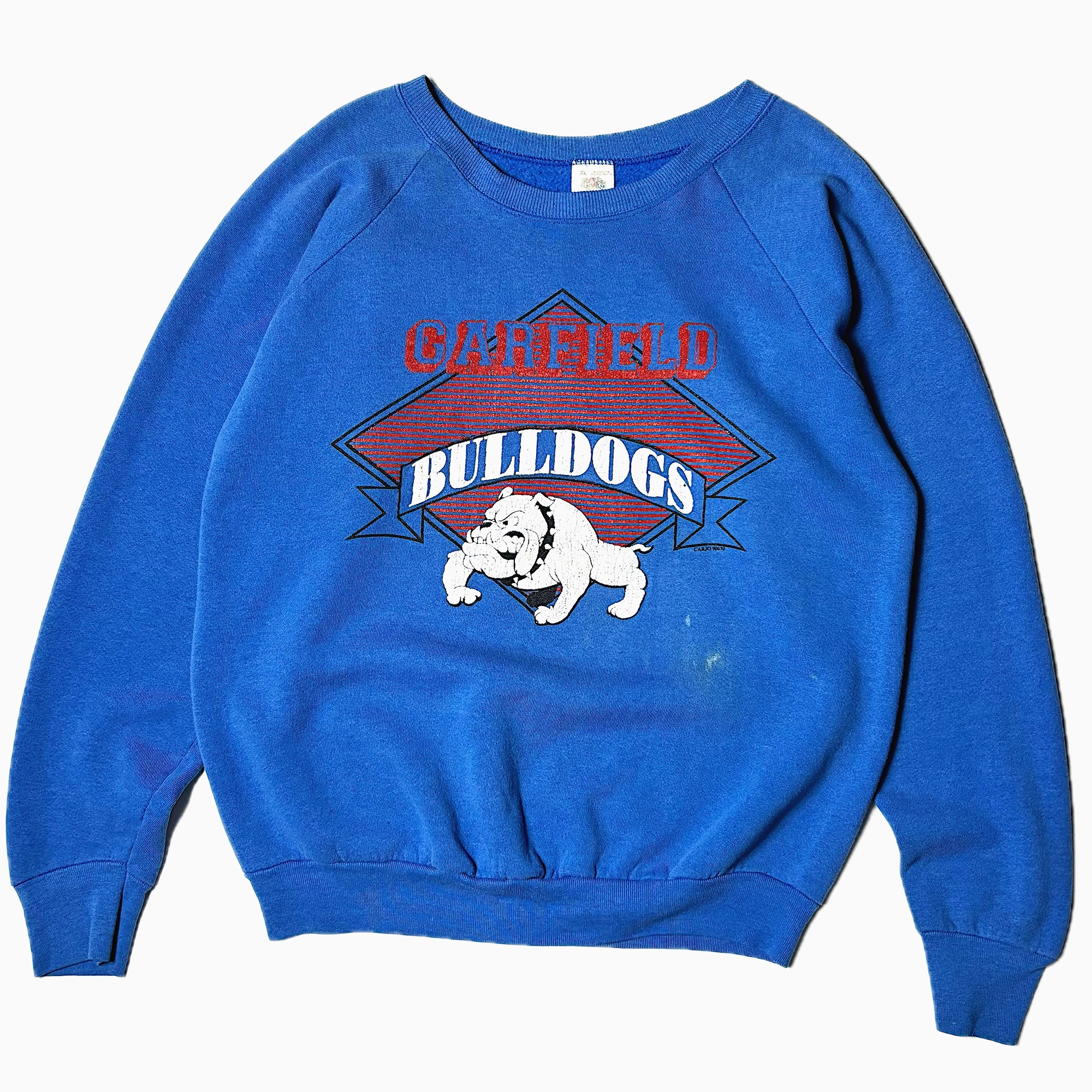 Vintage 90's【FRUIT OF THE LOOM】"GARFIELD BULLDOGS" Sweat