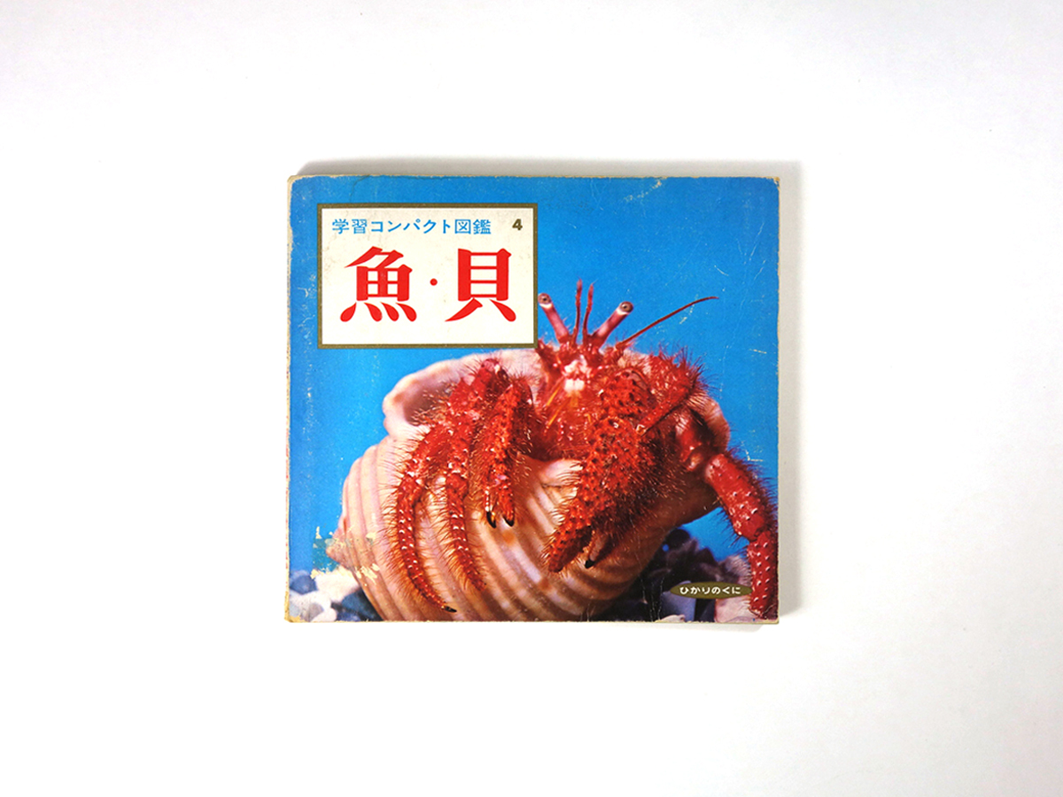 魚 貝 河野洋 著 学習コンパクト図鑑4 Bookstore ナルダ 魚 貝 河野洋 著 学習コンパクト図鑑4 Bookstore ナルダ