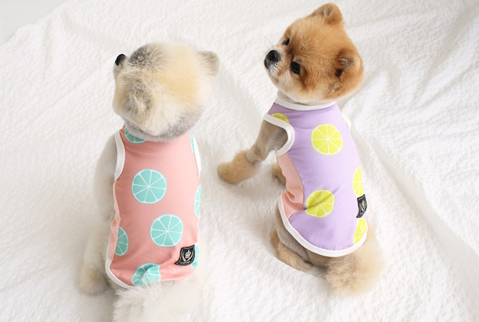 レモンタンクトップ S Xl 2color 犬服 新作 夏 可愛い 犬の服 ドッグウェア ペット 涼しい 小型犬 中型犬 ワンコ服 ペット用品ショップ Nari Pet レモンタンクトップ S Xl 2color 犬服 新作 夏 可愛い 犬の服 ドッグウェア ペット 涼しい 小型犬 中型犬 ワンコ服 ペット用品ショップ Nari Pet
