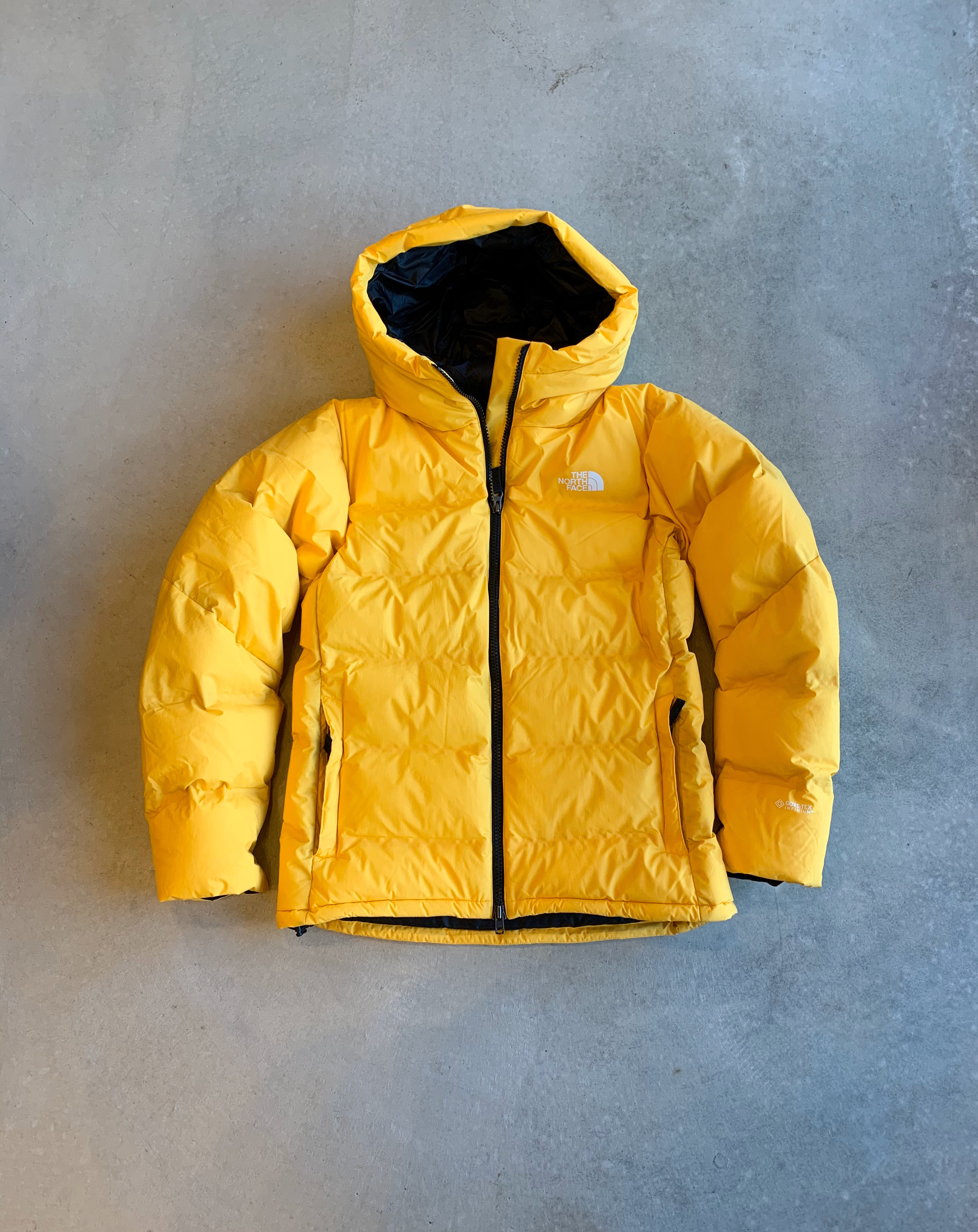 THE NORTH FACE BELAYER PARKA | large