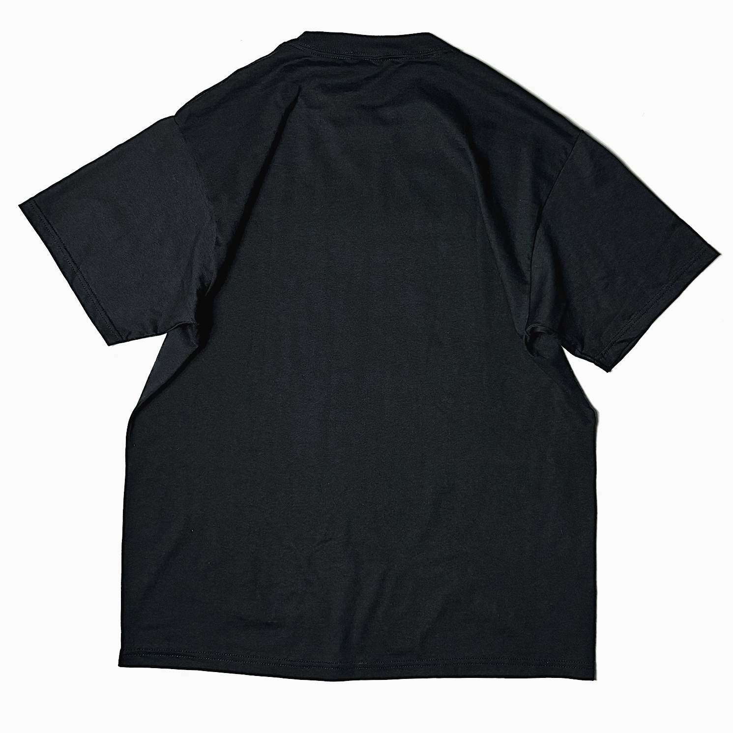 Y2K【FRUIT OF THE LOOM】"MISTRESS" T-shirt の画像 2