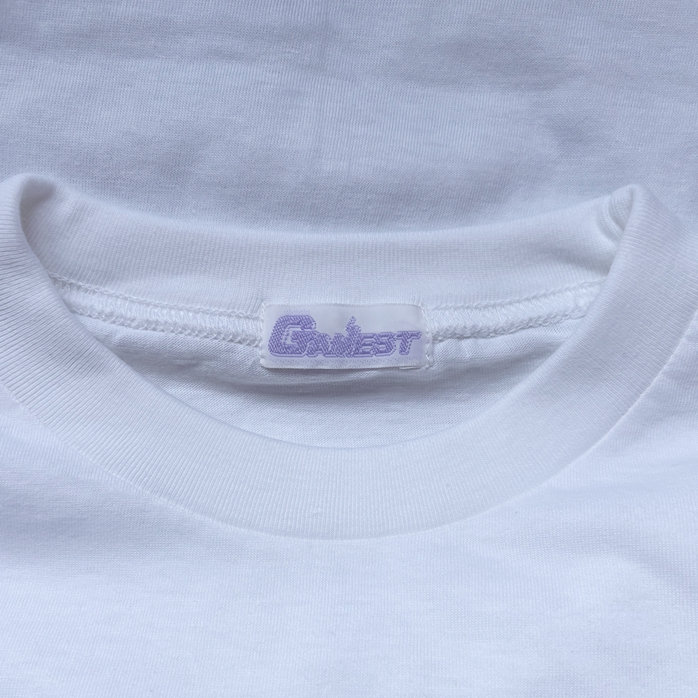 SNK Fatal Fury Special（餓狼伝説 Special）GAMEST Single Stitch【古着/Tシャツ/格闘ゲーム/希少品/90's/ASK品】