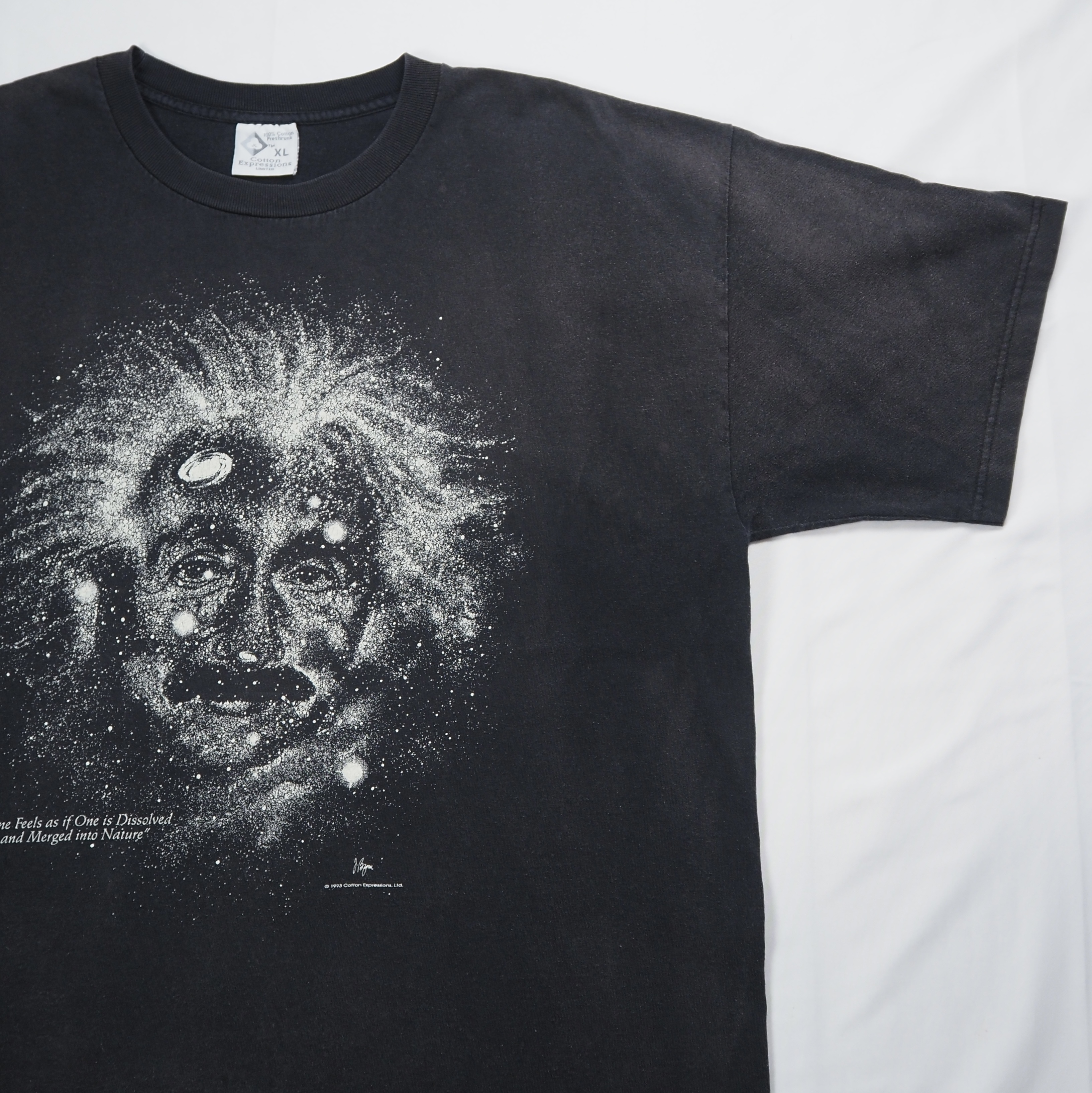 90’s アインシュタイン Tシャツ XL ブラックフェード の画像 12