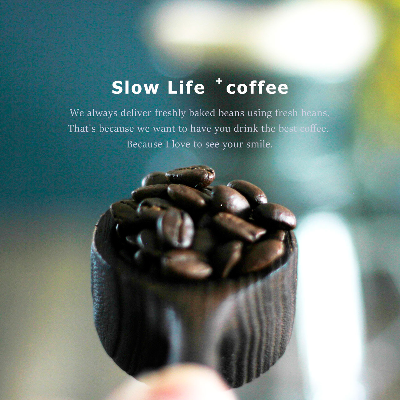 コーヒー豆 0g ブラジル サントス 中南米 Eleven Coffee イレブンコーヒー コーヒー豆 0g ブラジル サントス 中南米 Eleven Coffee イレブンコーヒー