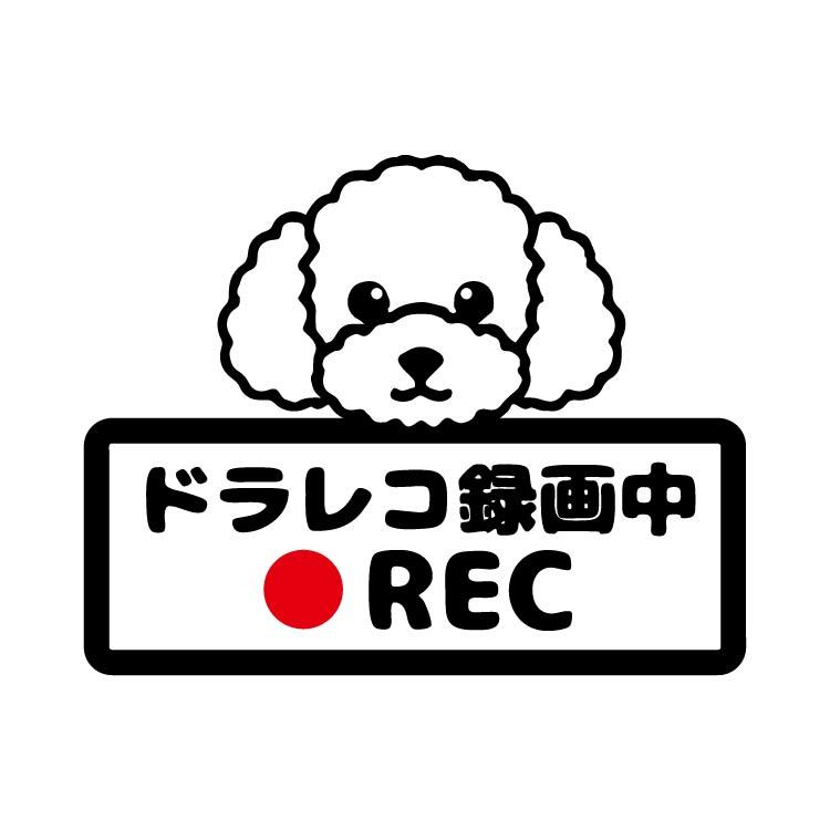 ドライブレコーダー 搭載 ステッカー 161d サイズ 10 6cm 13 6cm トイプードル 犬 ドラレコ トイプー 犬 いぬ カメラ Drive Recorder カーステッカー カー用品 録画中 防犯 セキュリティー カーサイン リアガラス 煽り運転 リアウインド おしゃれ あおり運転 赤ちゃん 孫