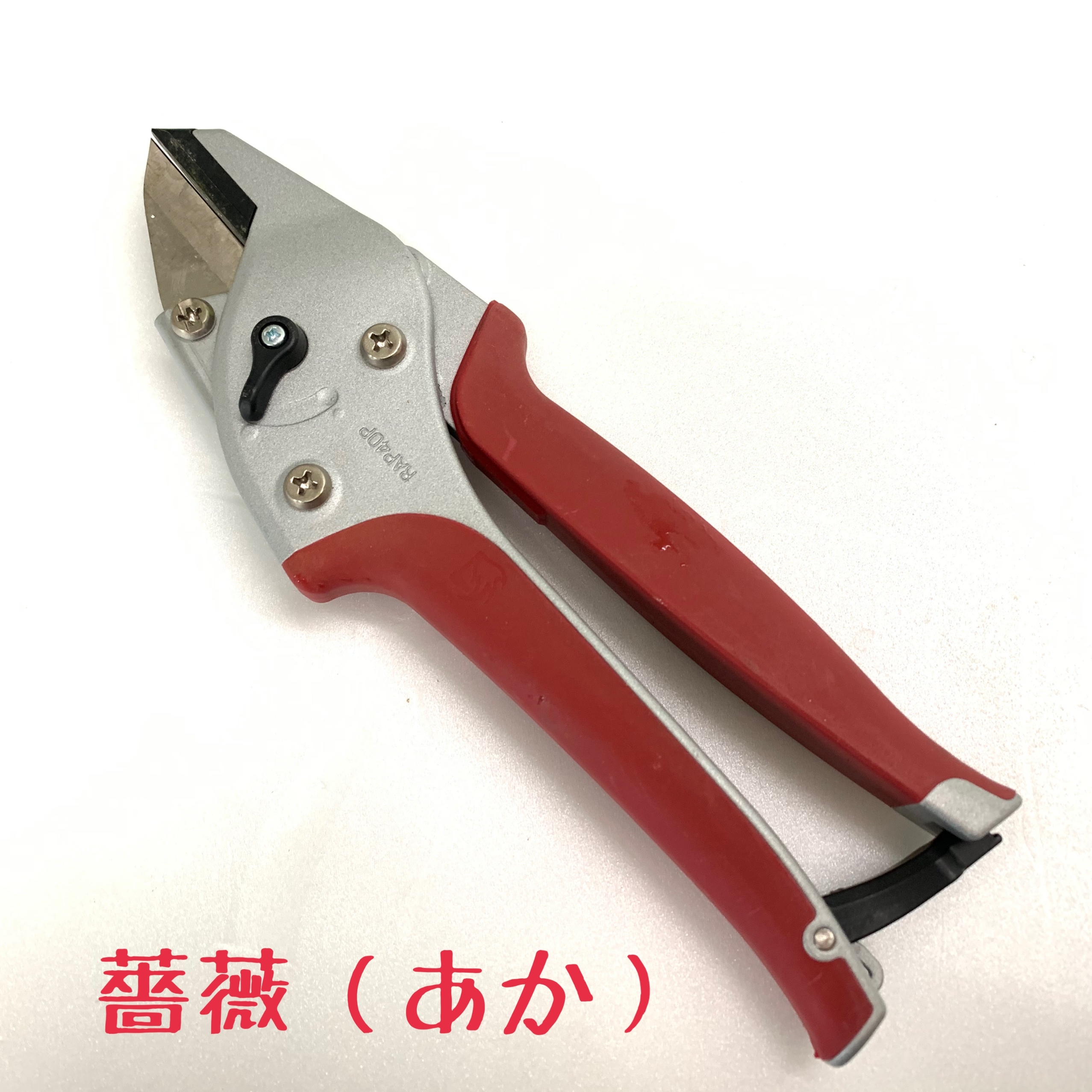 薔薇の剪定に手が痛くならない【楽なんです剪定鋏】 - 画像4