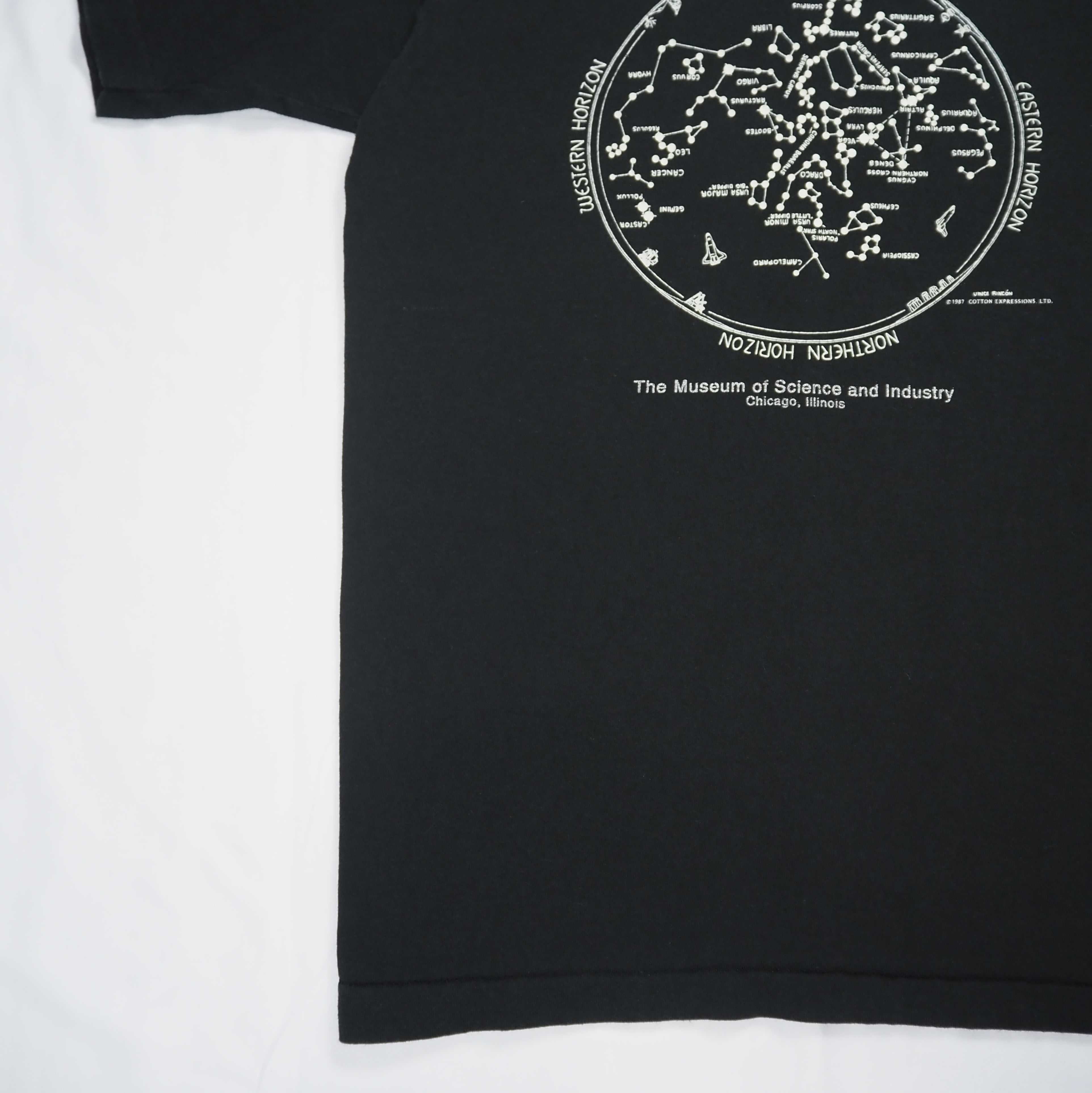 90’s フルーツタグ 星座Tシャツ Mサイズ ブラック の画像 10