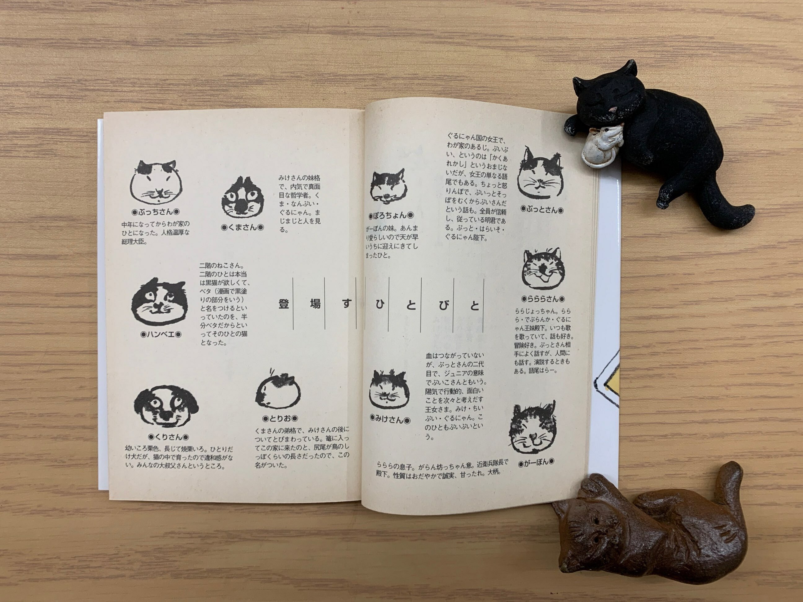 ぶっちさん物語 猫本サロン 京都三条サクラヤ ぶっちさん物語 猫本サロン 京都三条サクラヤ