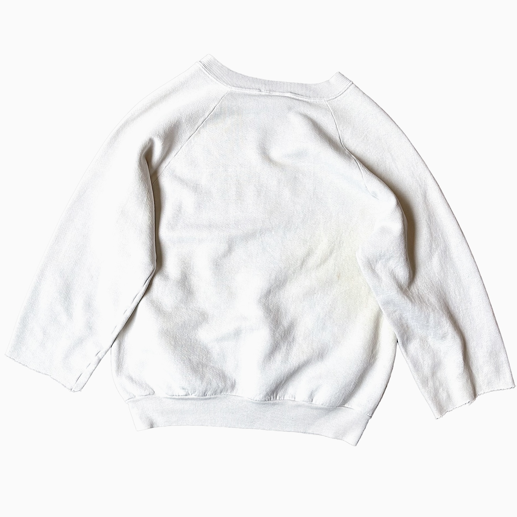 Vintage 80's【FRUIT OF THE LOOM】"ALPHA GAMMA SIGMA" Sweat の画像 2