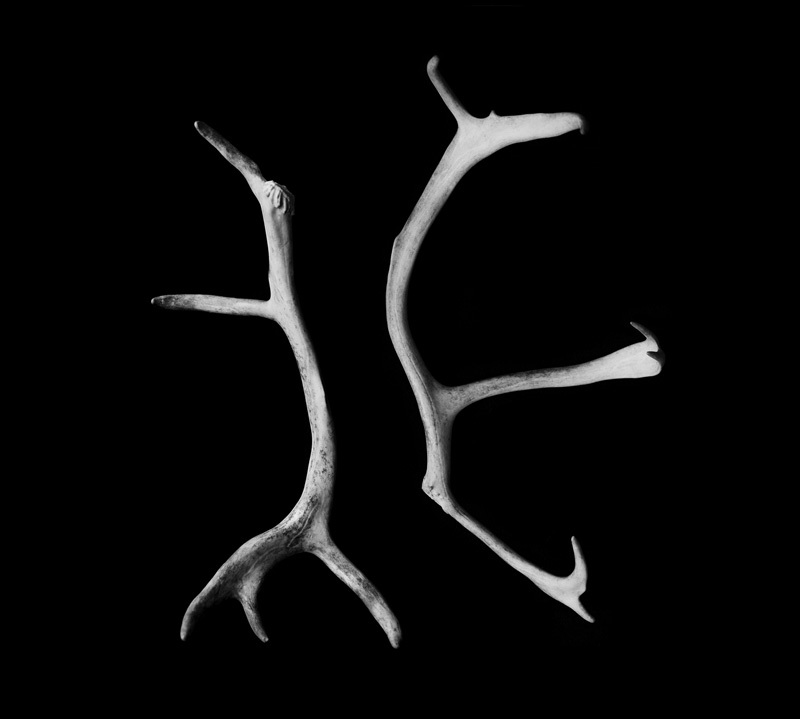 OTZEPENEVSHIYE - Razryv Svyazi (Disconnection) 2xCD - 画像1