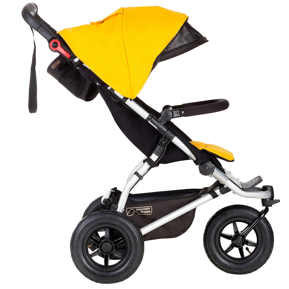 gold buggy